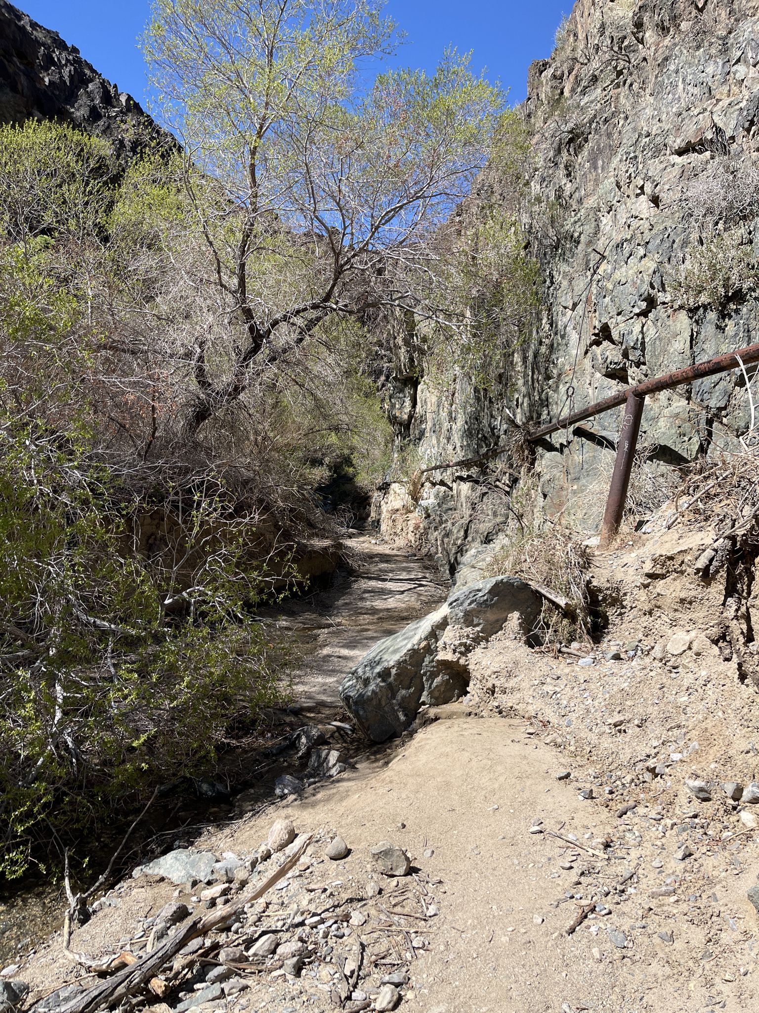 A narrow dirt trail winds through a rocky canyon with a metal handrail. - Darwin Falls Trail – Darwin Falls loop from Panamint Springs