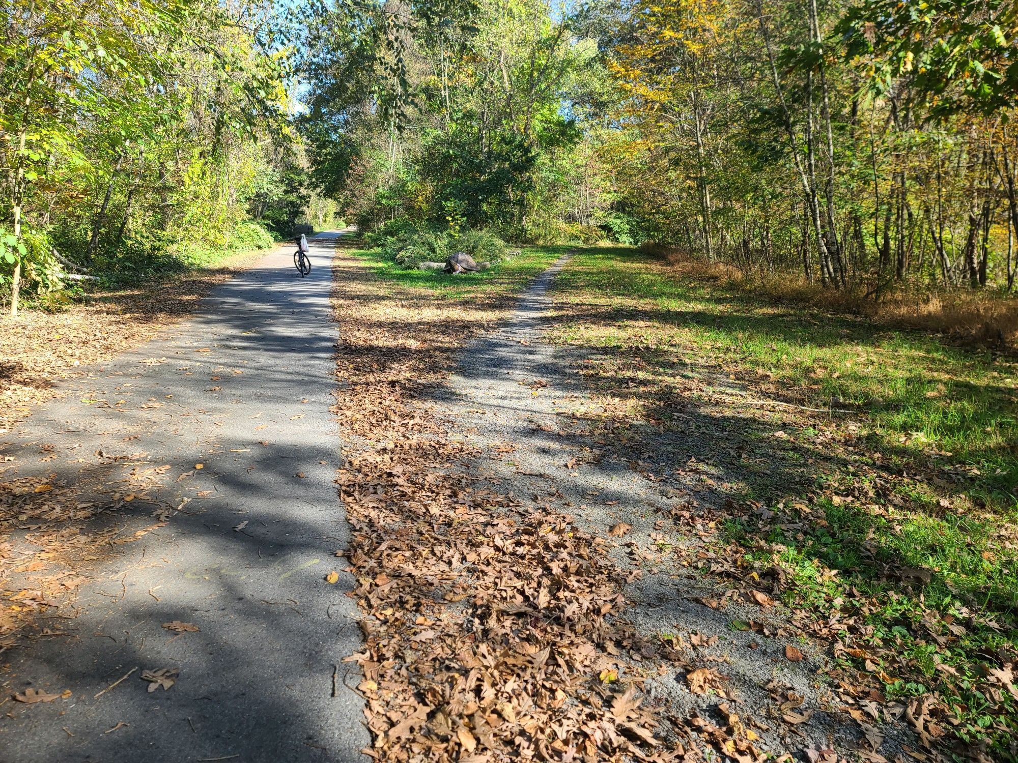 Sunny autumn day on a diverging path with a distant cyclist. - Scranton – Lackawanna River loop from Electric City Trolley Station