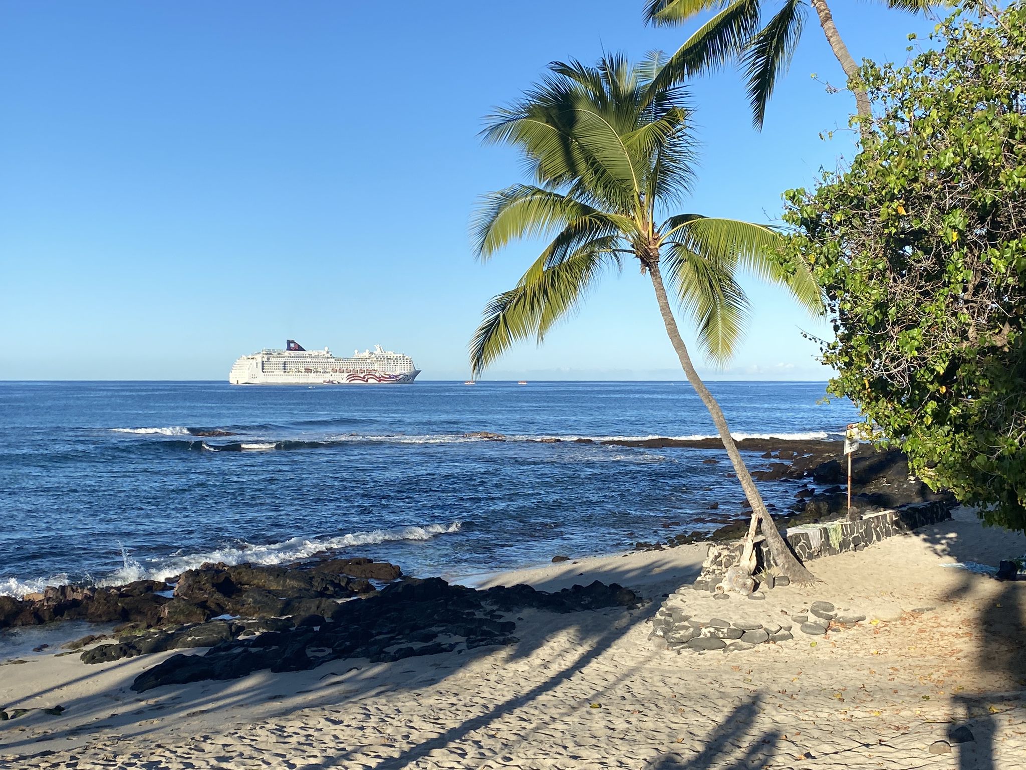 Sunny beach with a palm tree and a large cruise ship on the horizon. - Ali'i Gardens Marketplace via Kuakini Highway loop