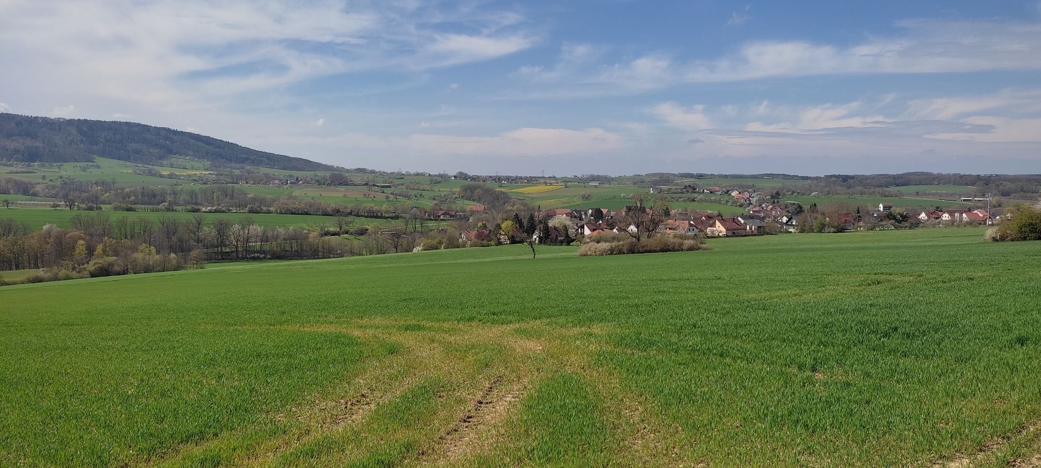 Ausblick - Kunreuth