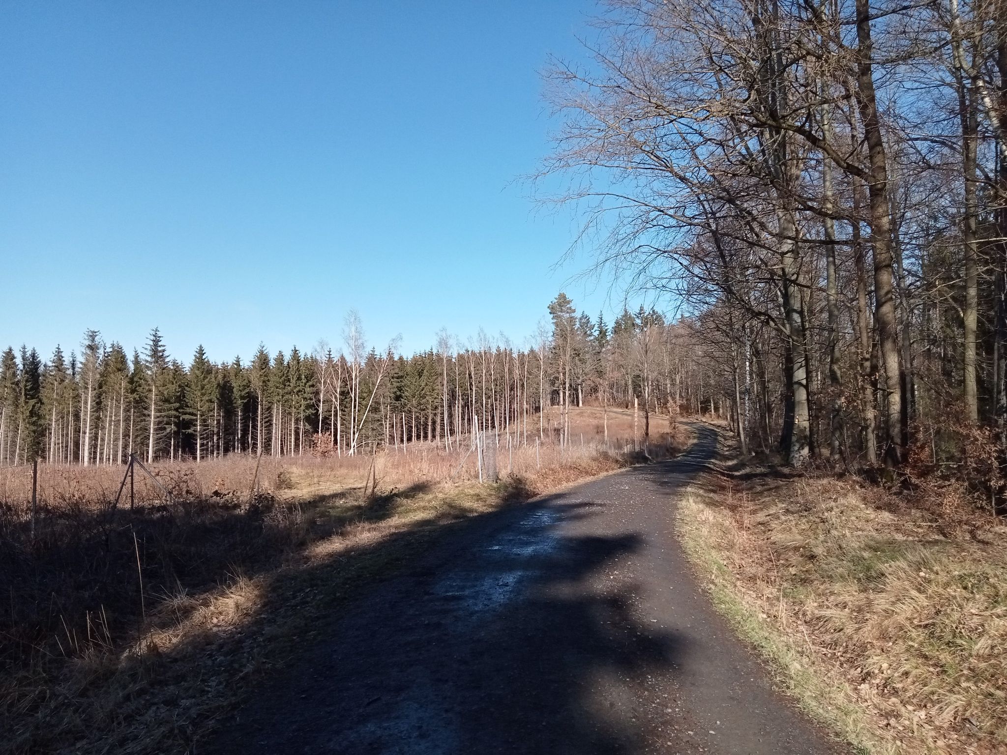 Wanderung bei schönstem Sonnenschein