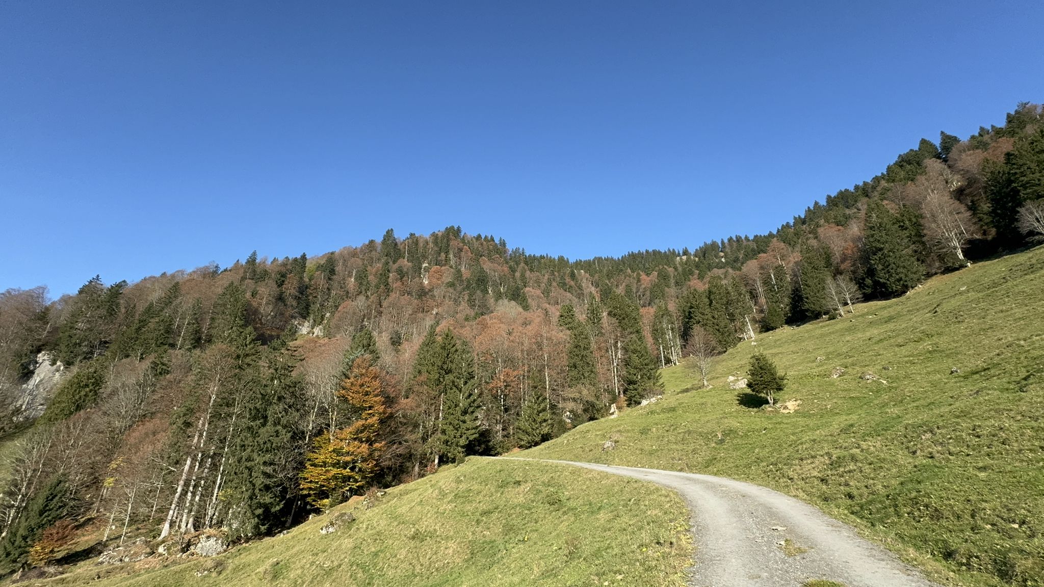 Koppachstein
