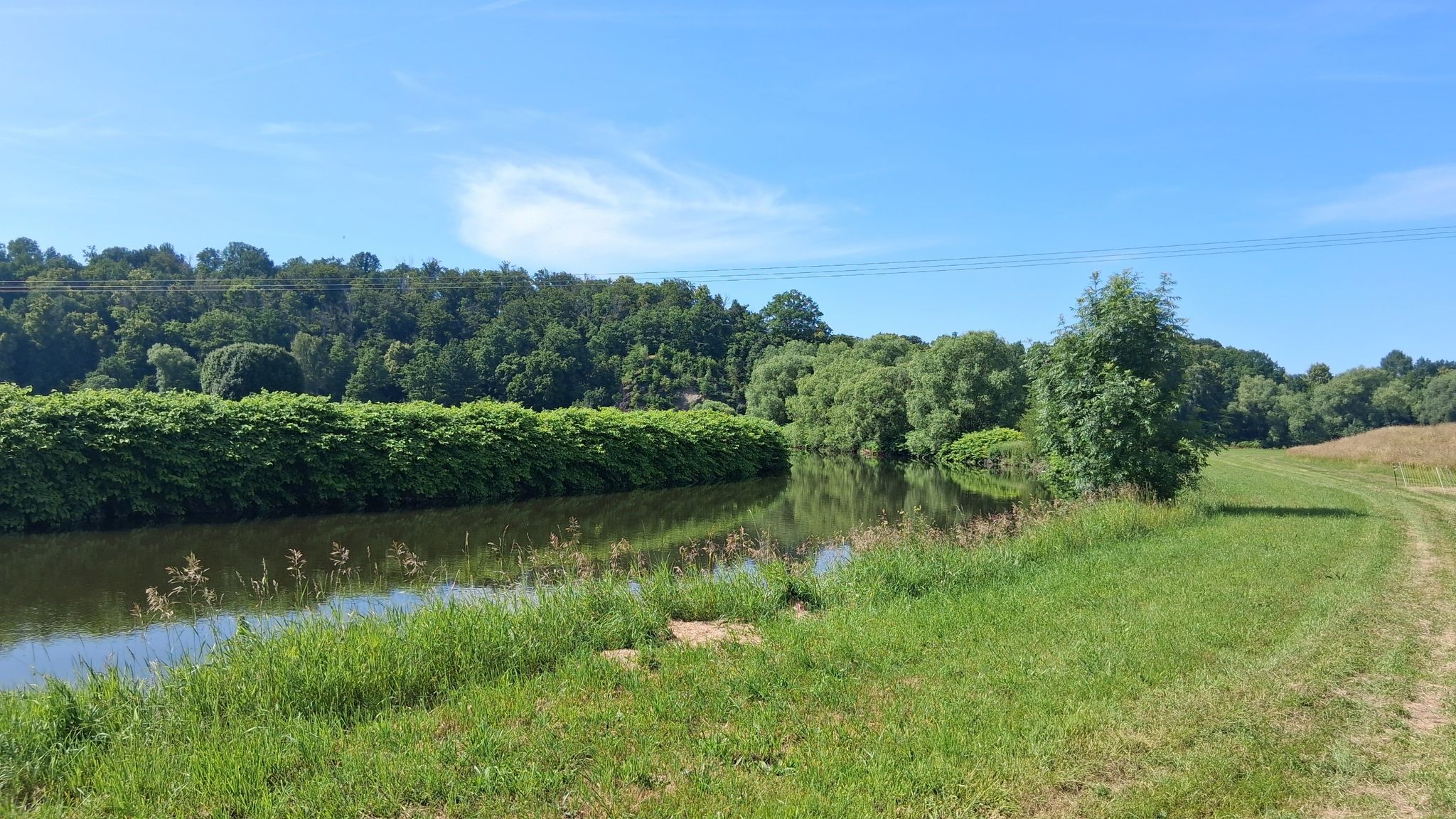 Muldenaue bei Remse