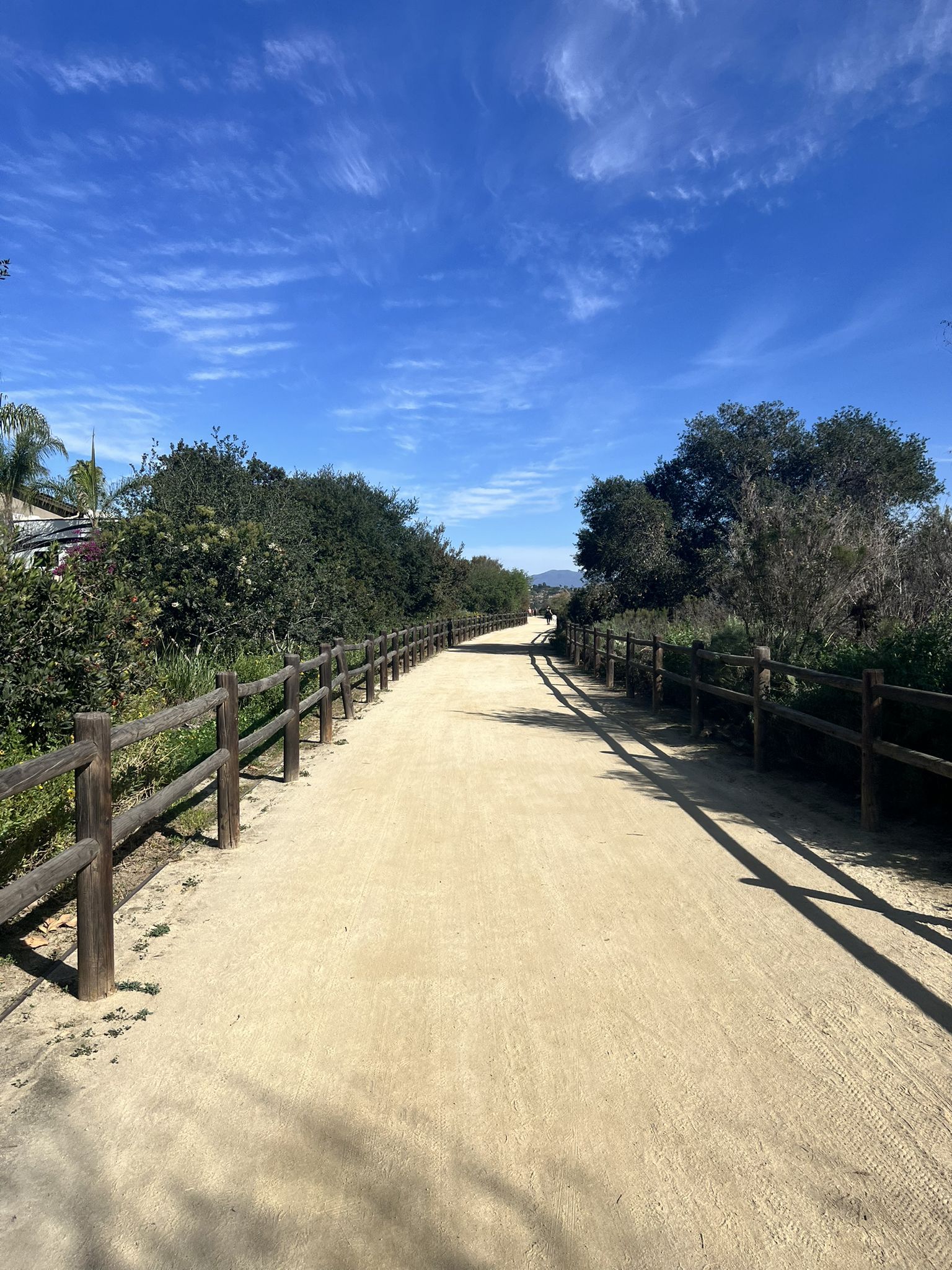 Wide sandy path bordered by wooden fences and green foliage under a bright blue sky. - Walker Preserve Trail