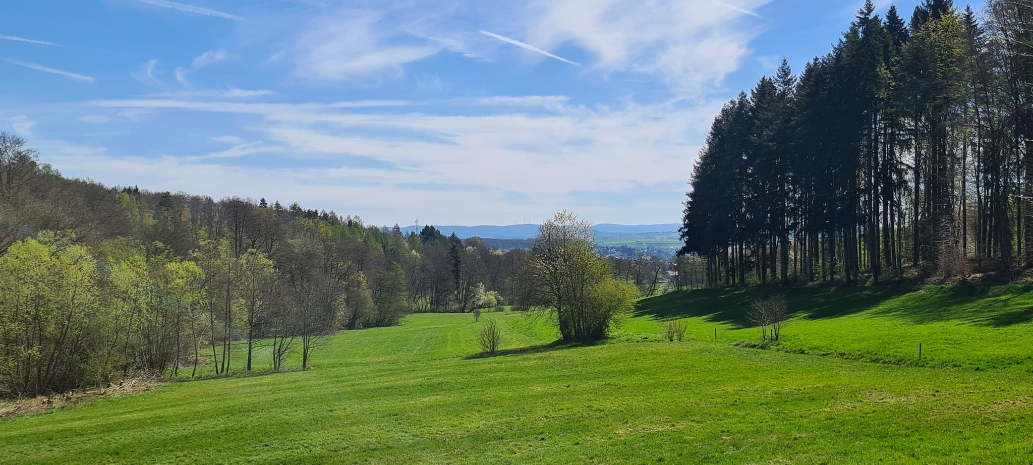 Schöne Wiesen soweit das Auge reicht
