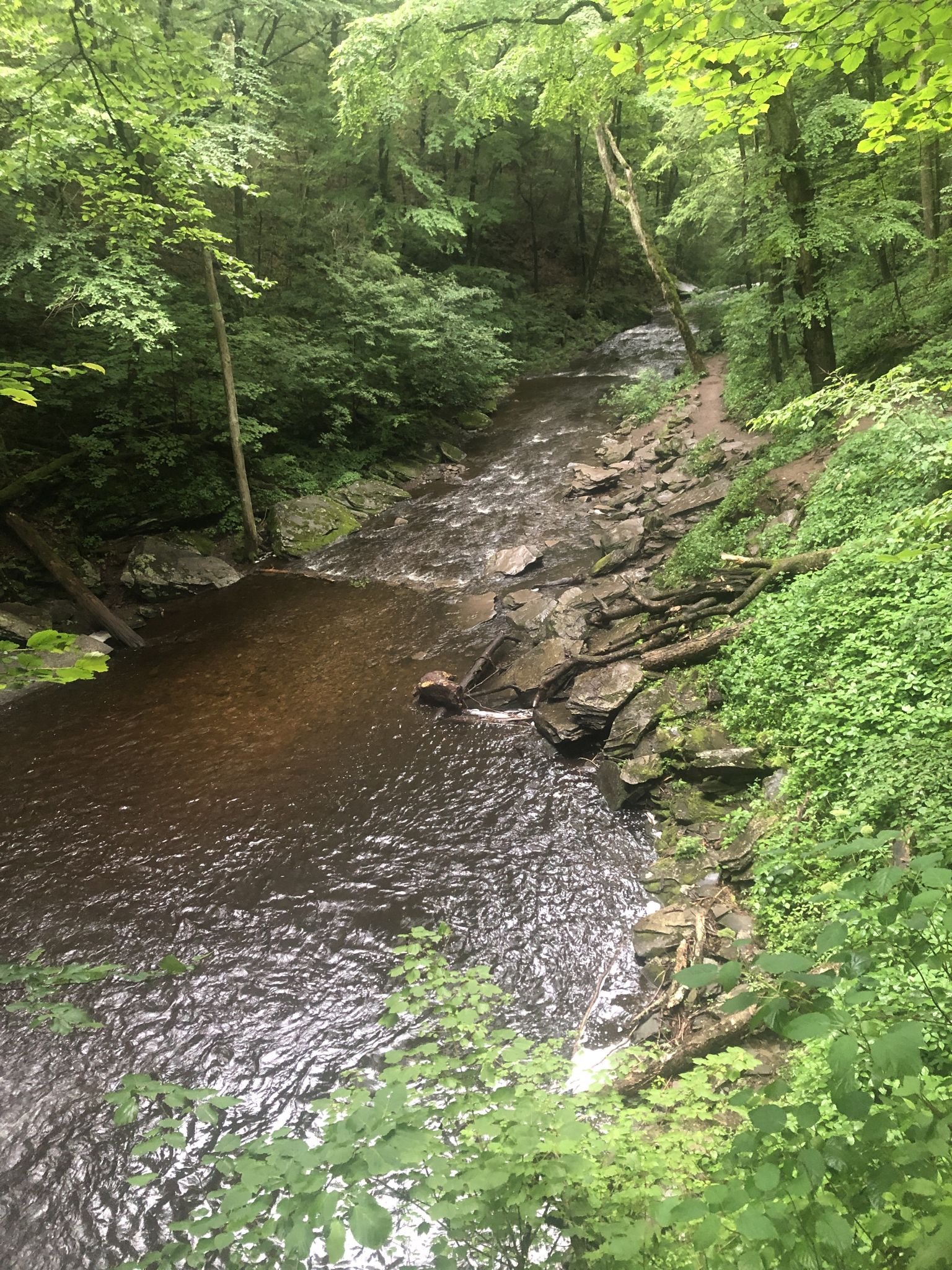 Dark river flowing through a green, rocky forest from an elevated view. - Ricketts Glen Falls Trail Loop