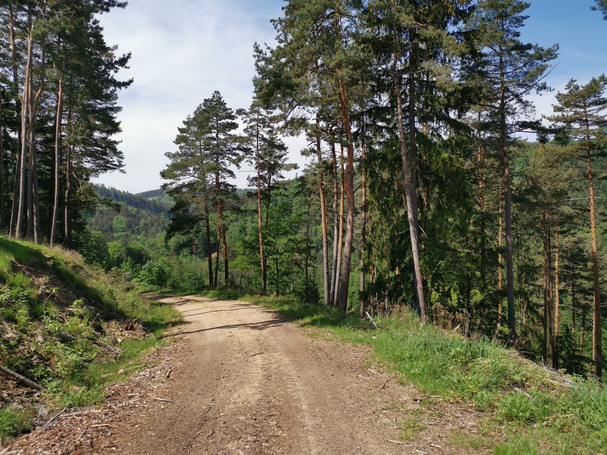 Forststaße, Kreuzberg <-> Mitterarnsdorf an der Donau