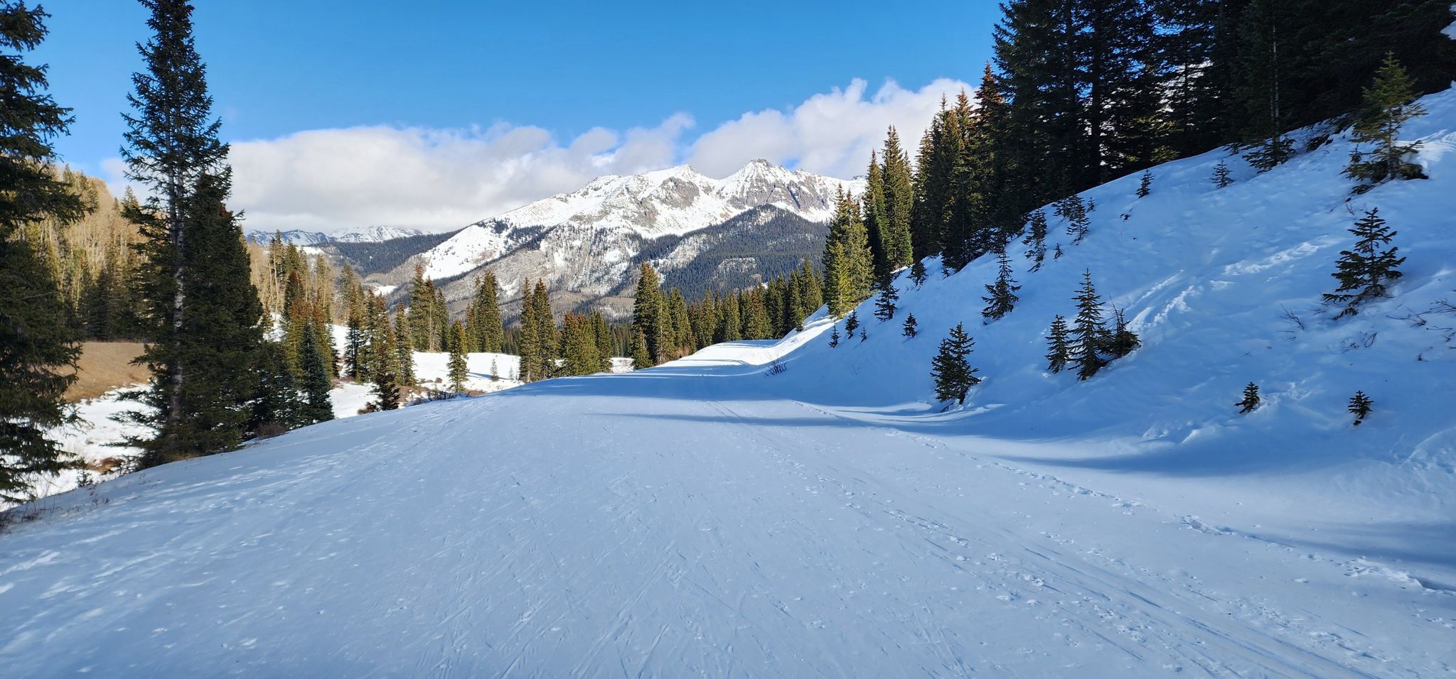 Wide snow-covered path through a winter forest with distant snowy mountains. - Galloping Goose