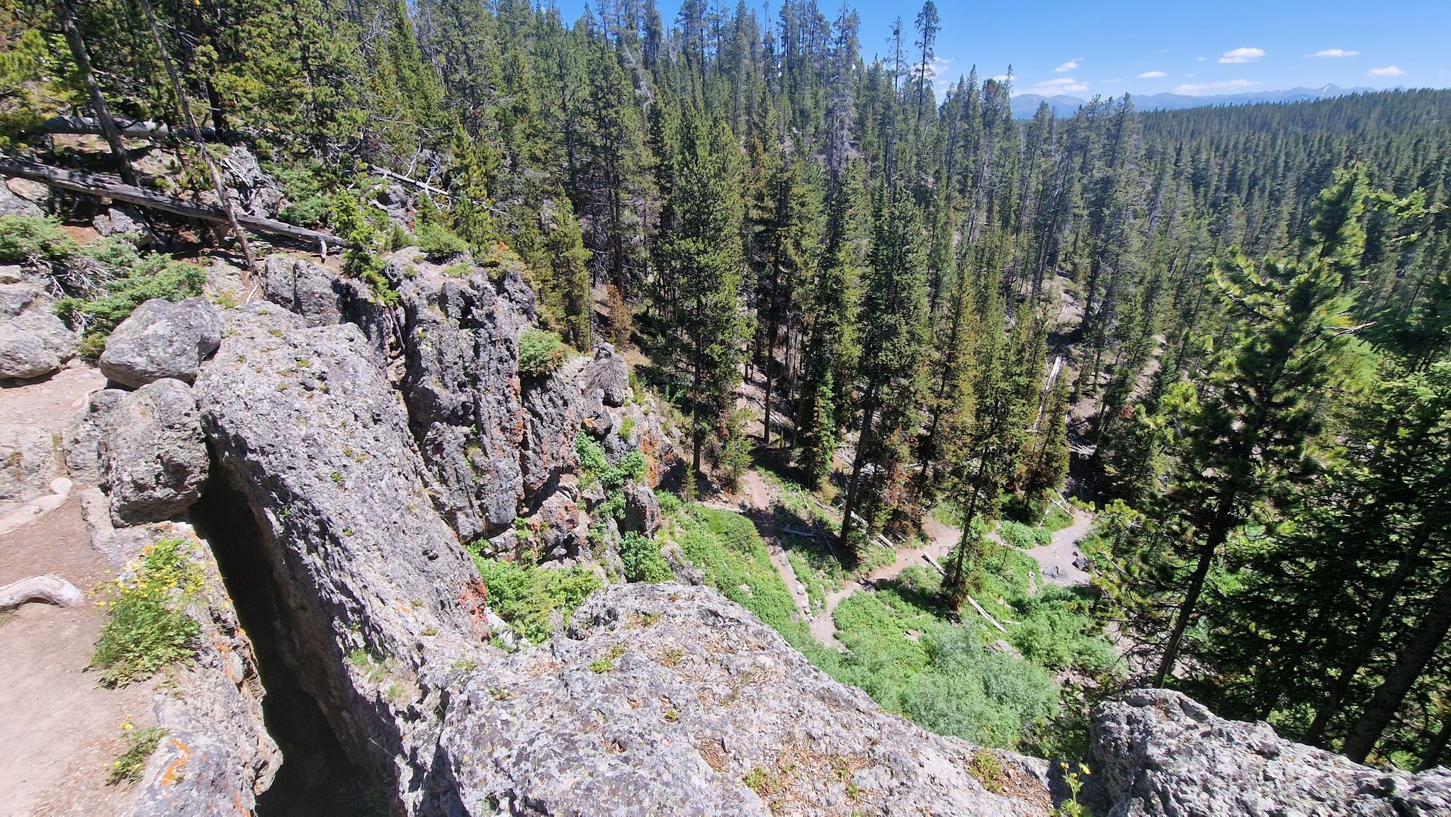 Rocky cliff overlooks a dense pine forest valley on a sunny day. - Natural Bridge Trail