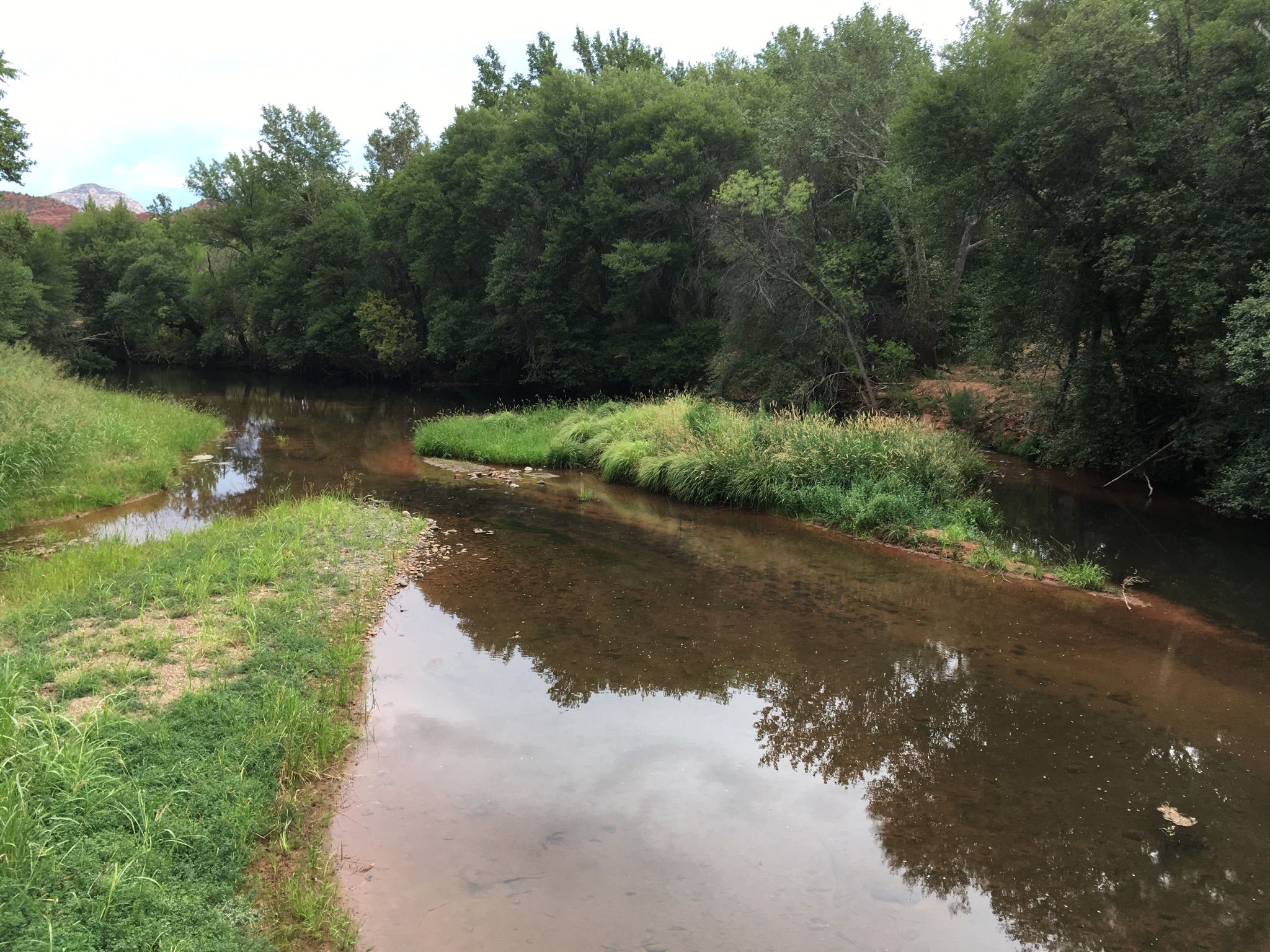 A calm river flows through a dense green forest on an overcast day. - Cottonwood – Lover's Knoll loop from Tuzigoot National Monument