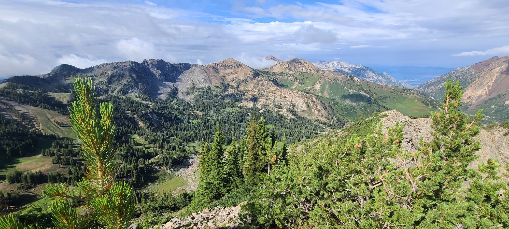 An expansive view of rugged, forested mountains under a partly cloudy sky. - Twin Lakes Pass – Catherine Pass loop from Alta