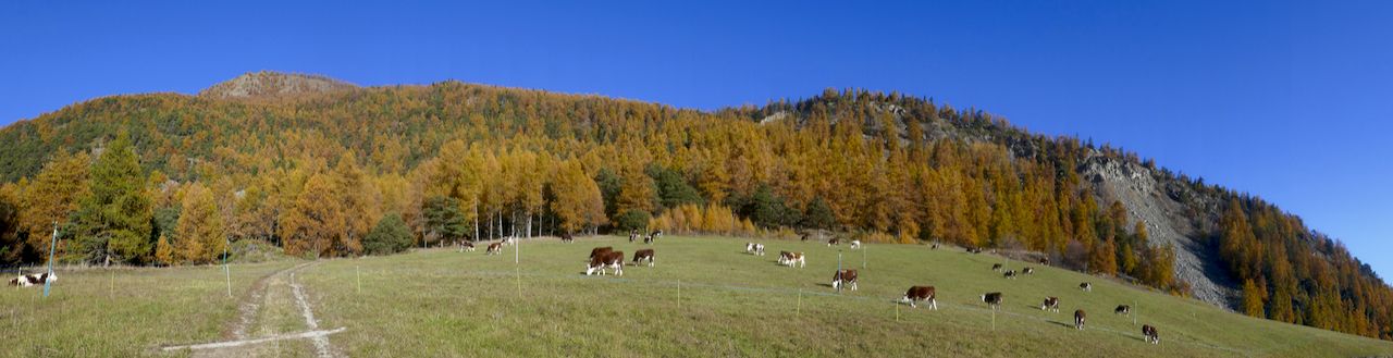 partenza da Fonteil