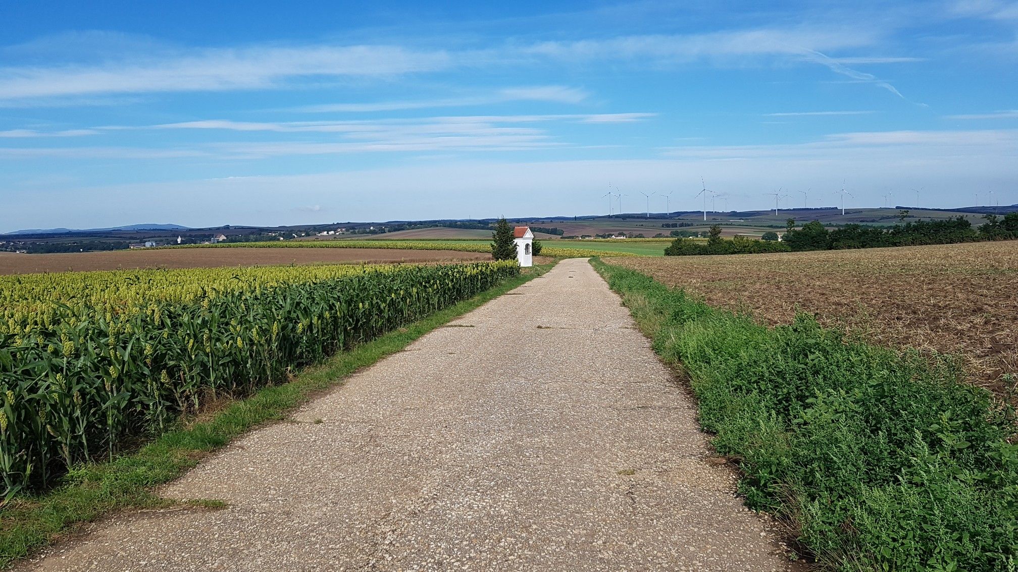 Agrarweg Richtung Bullendorf