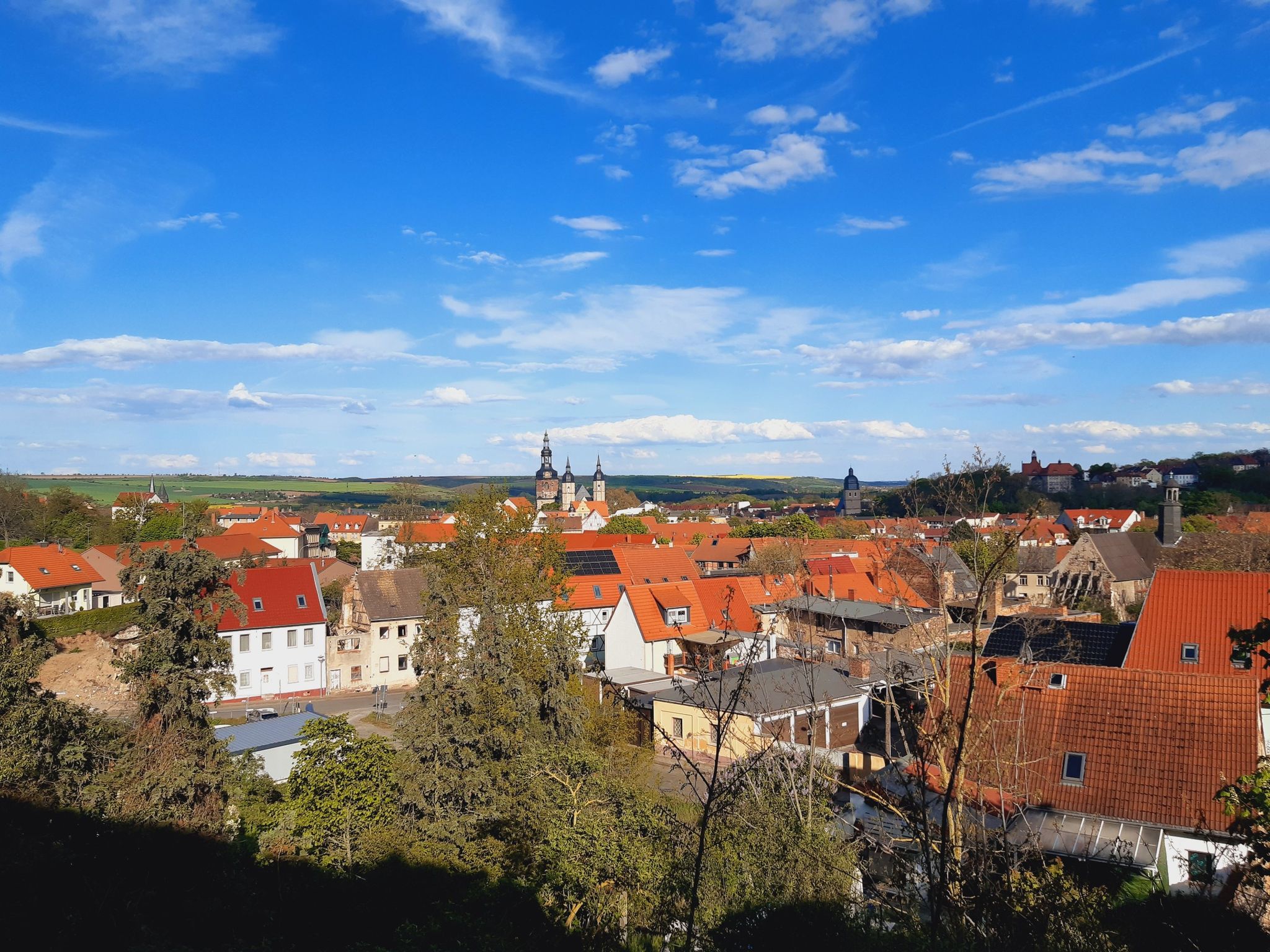 Blick über Lutherstadt Eisleben
