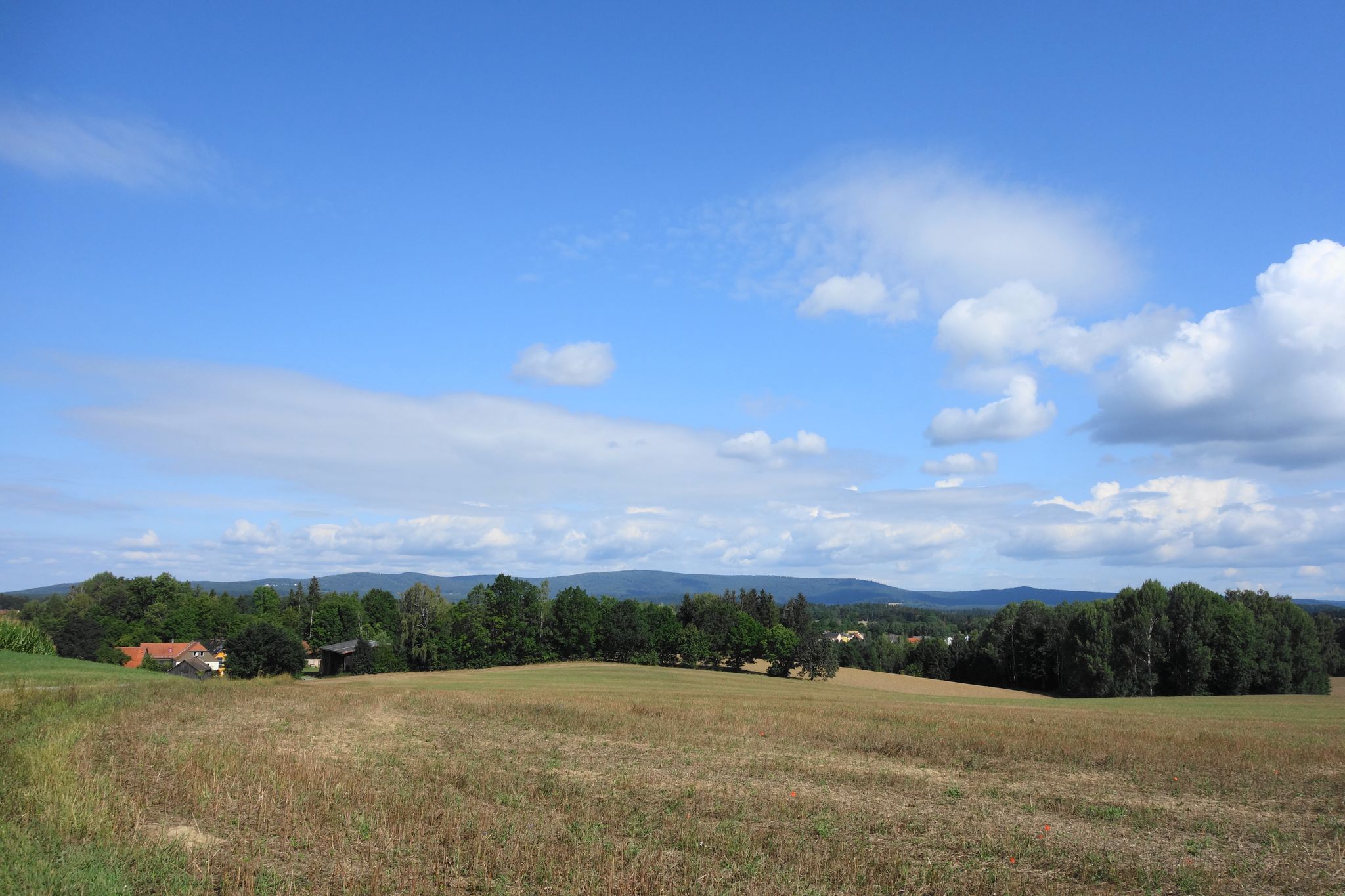 Aussicht vom Schrollenbühl - Steinwaldkamm