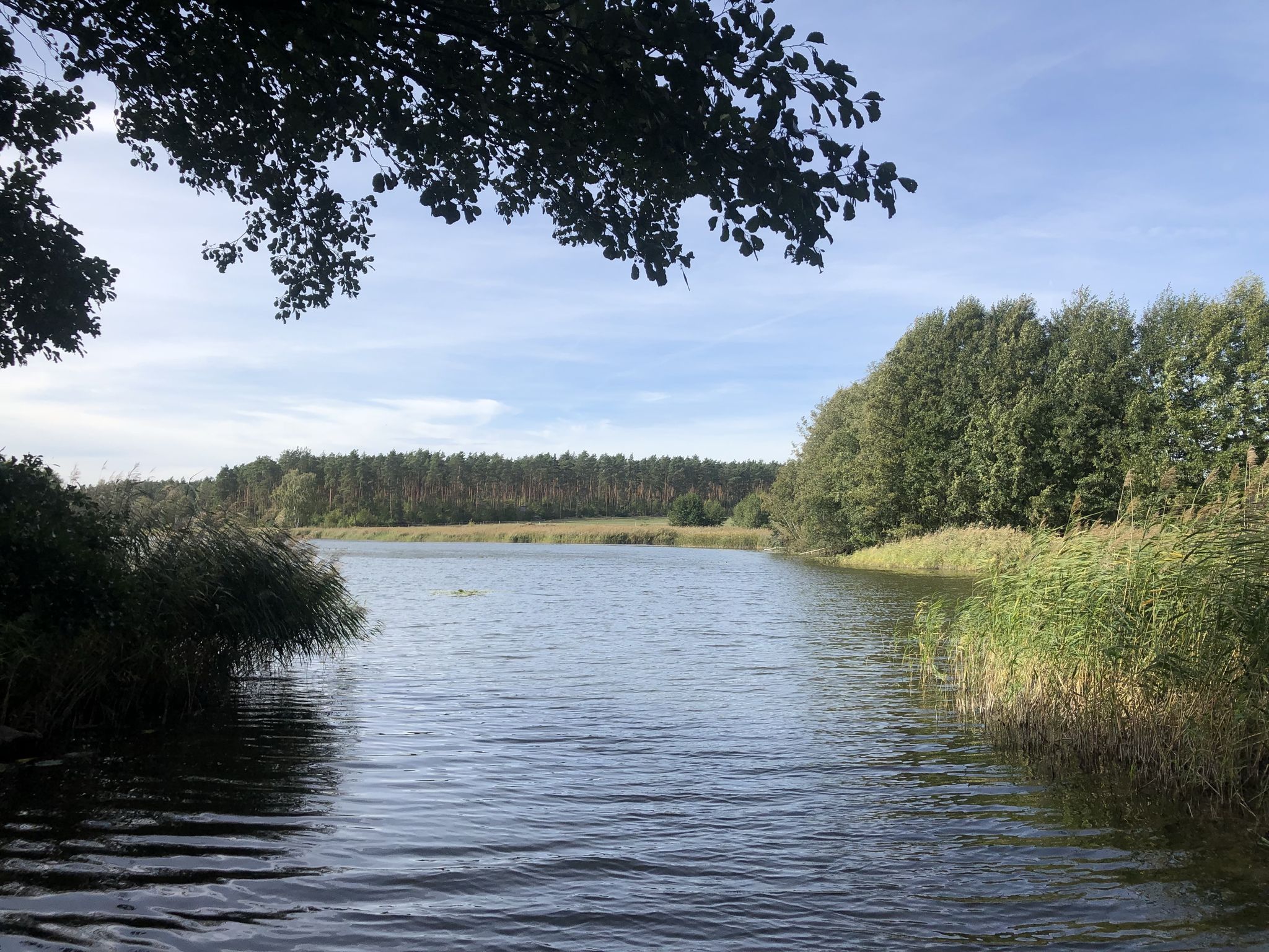 Torfstich (See)
