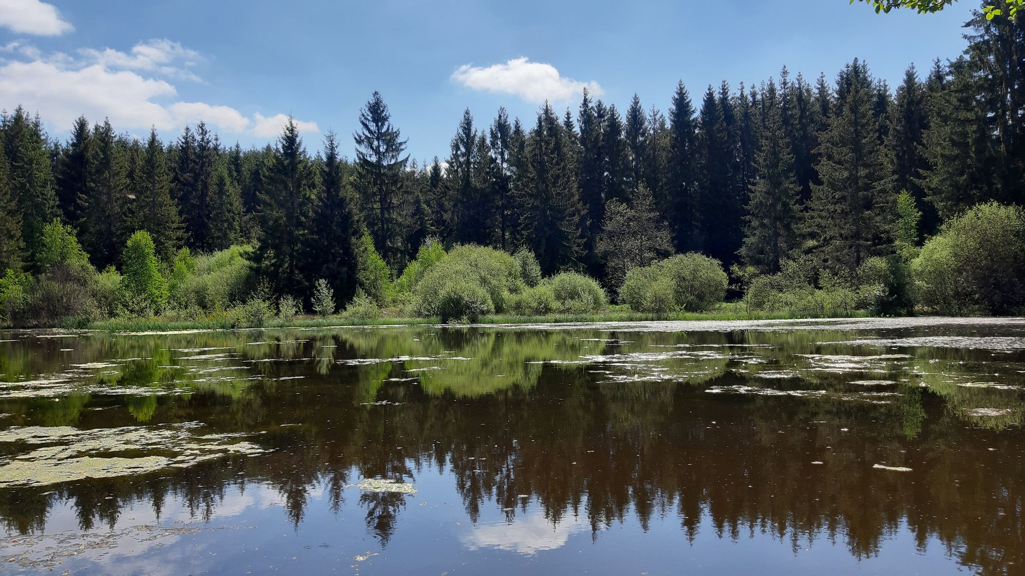 Nempheteich