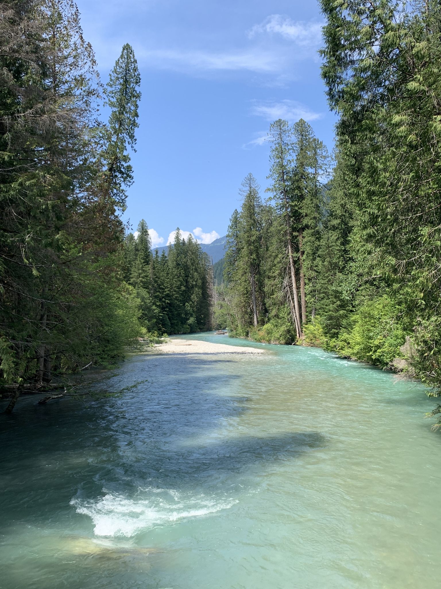 Bright turquoise river flows through a lush forest under a clear blue sky. - Thunder Creek Trail