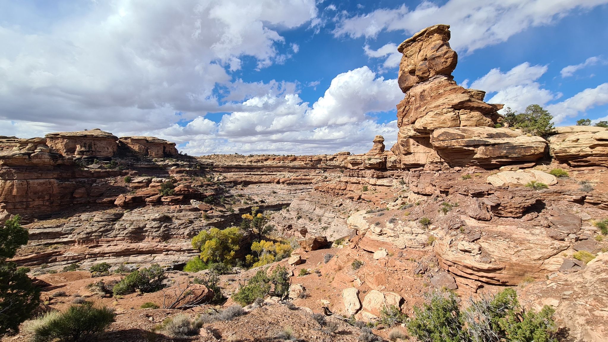 Expansive desert canyon with layered rock formations under a cloudy blue sky. - Confluence Overlook Trail