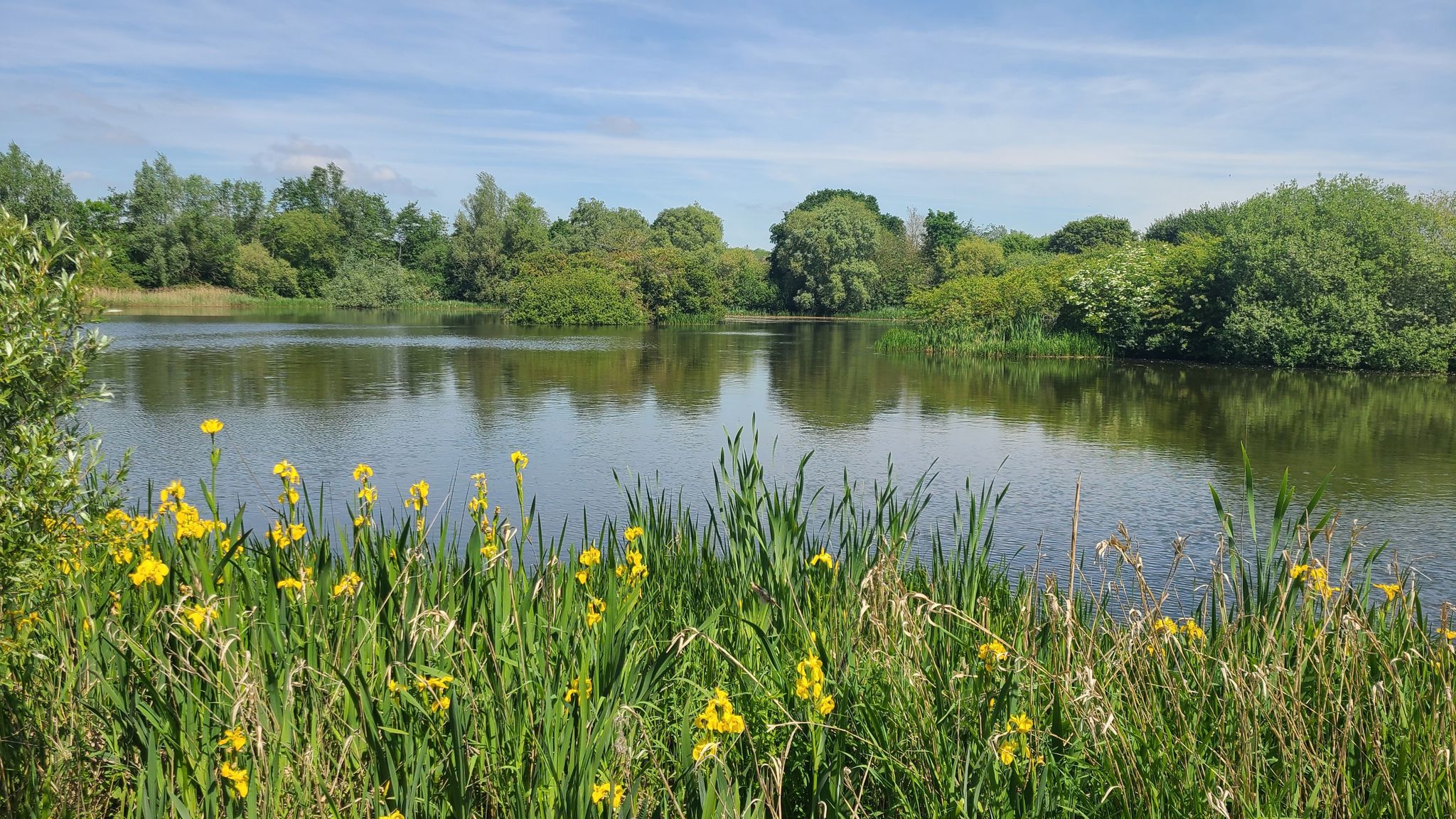 nene park
