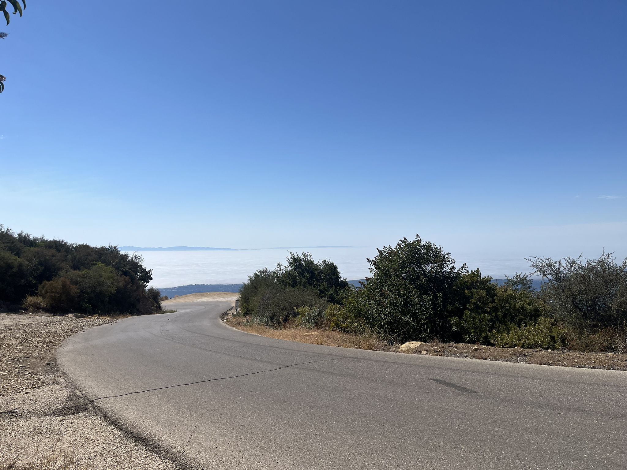 Curved road through green hills with a distant fog layer under blue sky. - Gibraltar Road loop from Santa Barbara High School