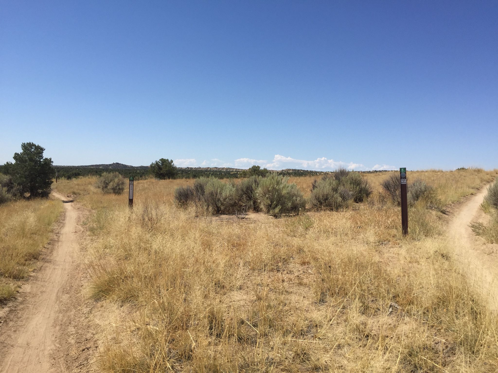 Dirt trail splits in dry grassy landscape under bright blue sky. - Kinsey - Seven Sisters Loop