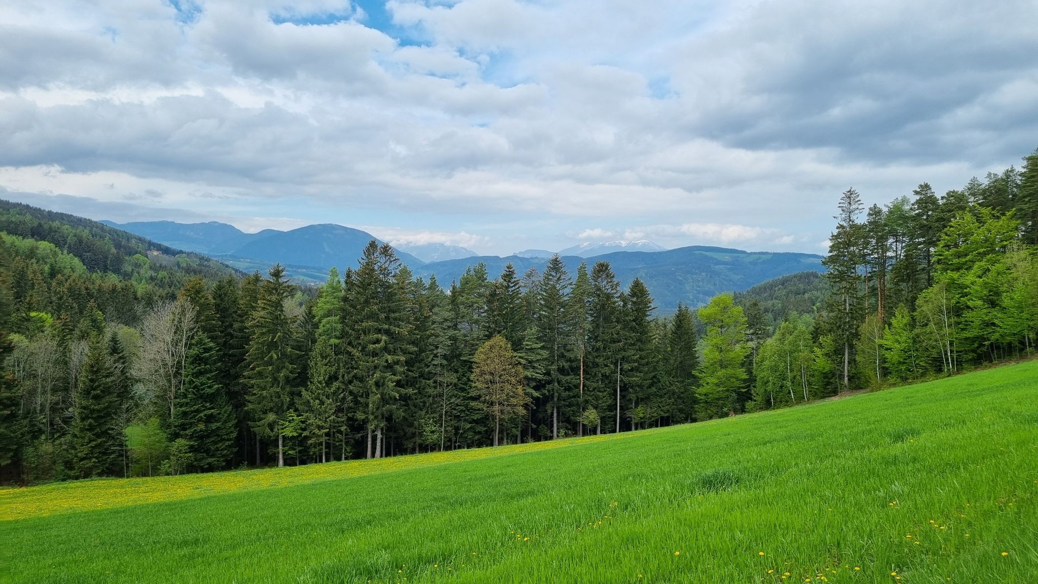 Rax, Schneeberg