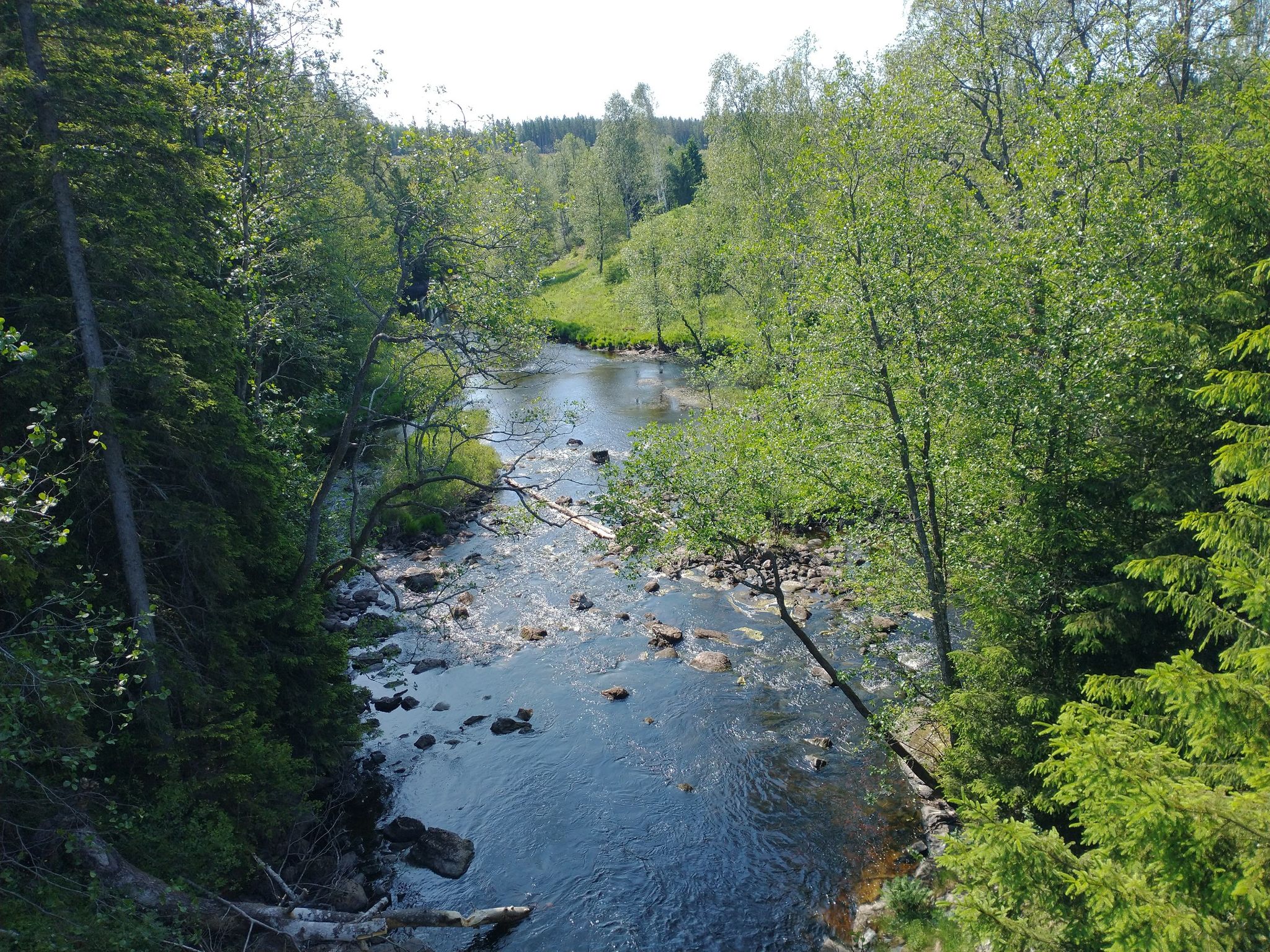 Kynne älv