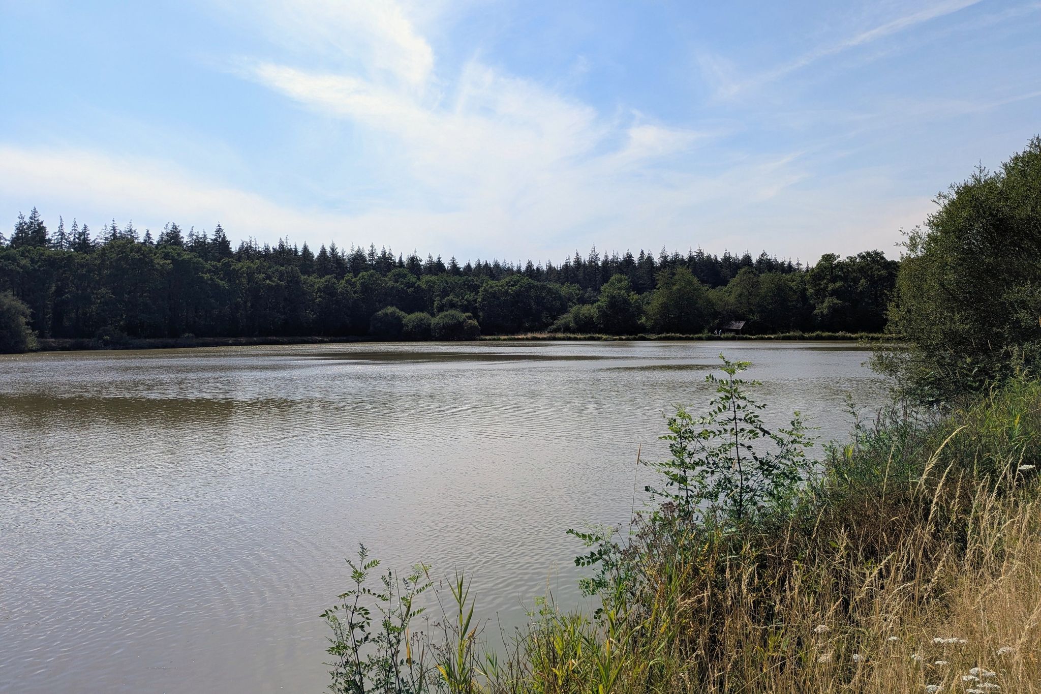 Forêt Domaniale de Longuenée