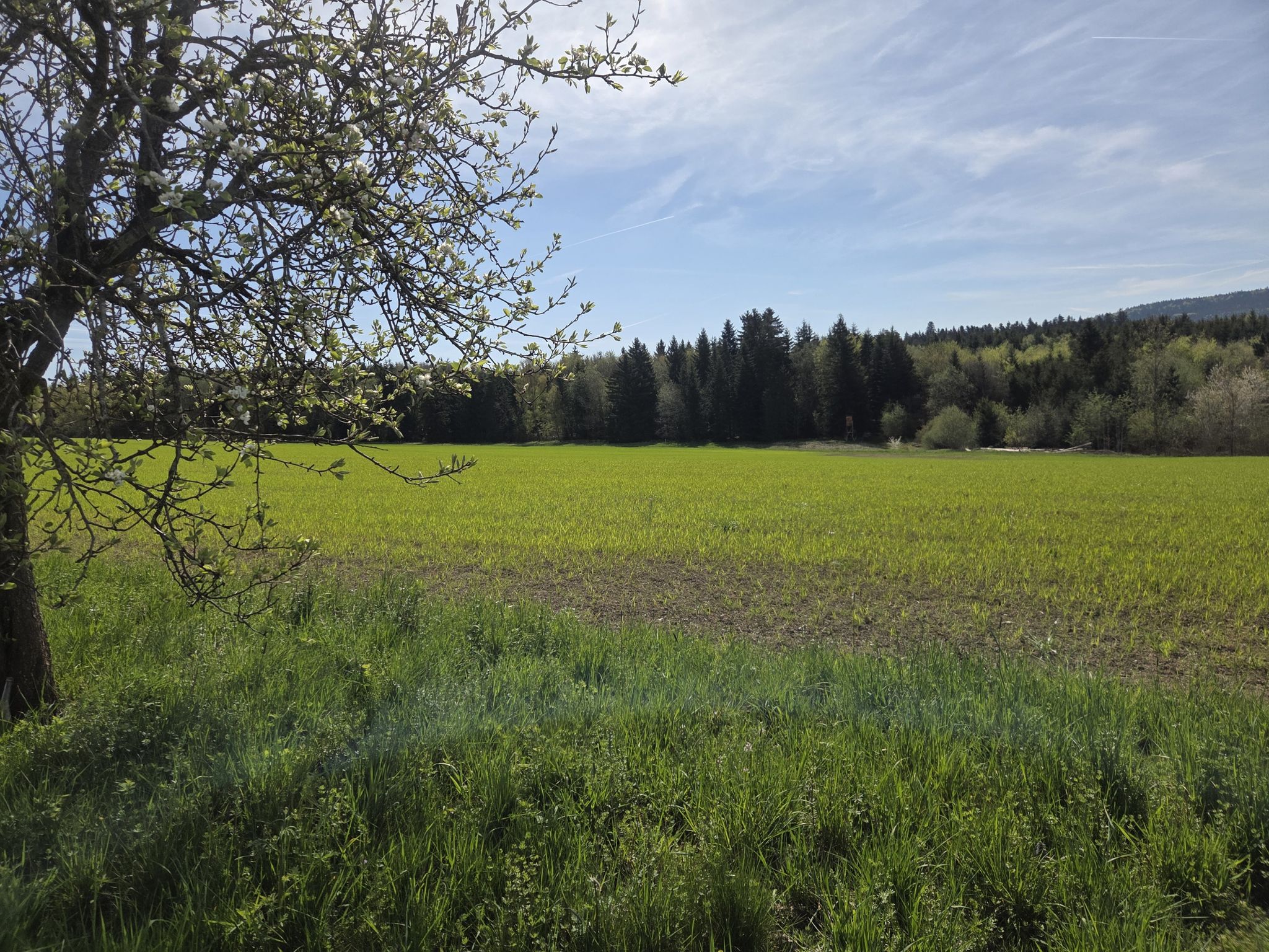 Natur 