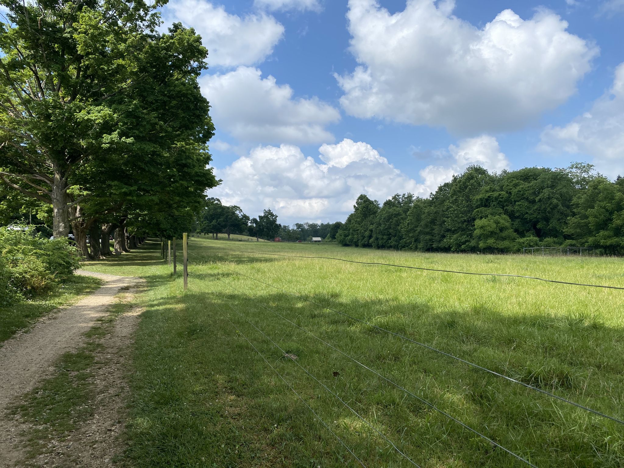 Wide green field next to dirt path, large trees, sunny, cloudy sky. - Newtown Rail Trail – Knight’s Bridge loop from Lorimer Park