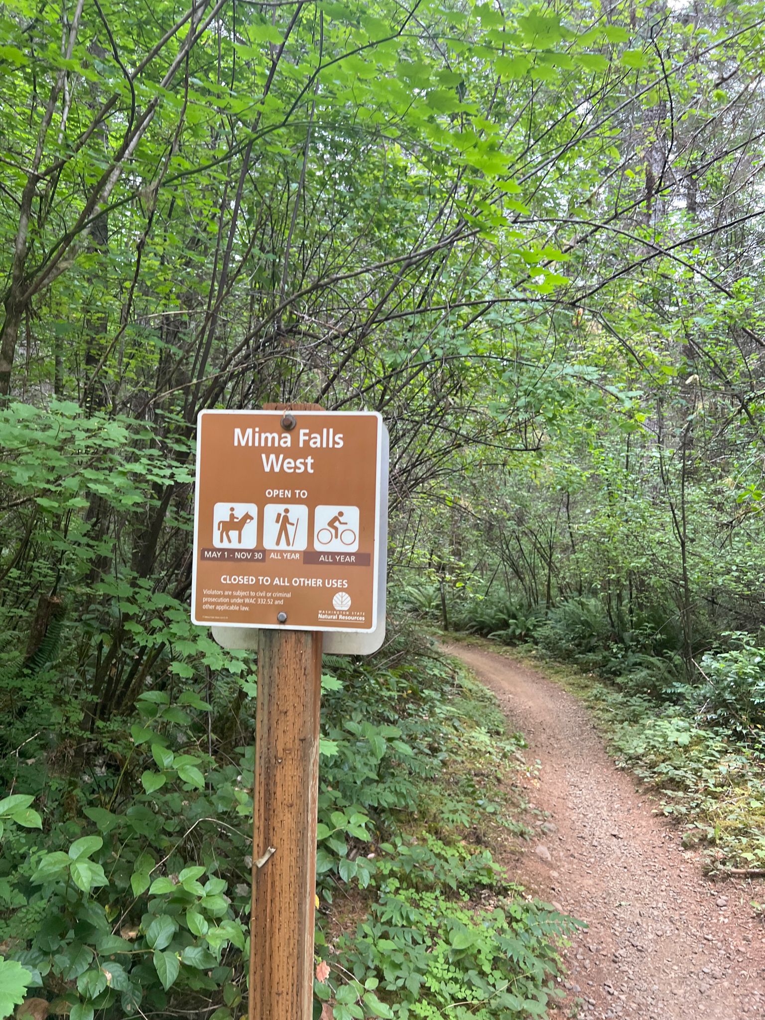 A brown trail sign on a post by a dirt path in a dense green forest. - Capitol State Forest – Mima Falls loop from Mima Mounds Natural Area Preserve