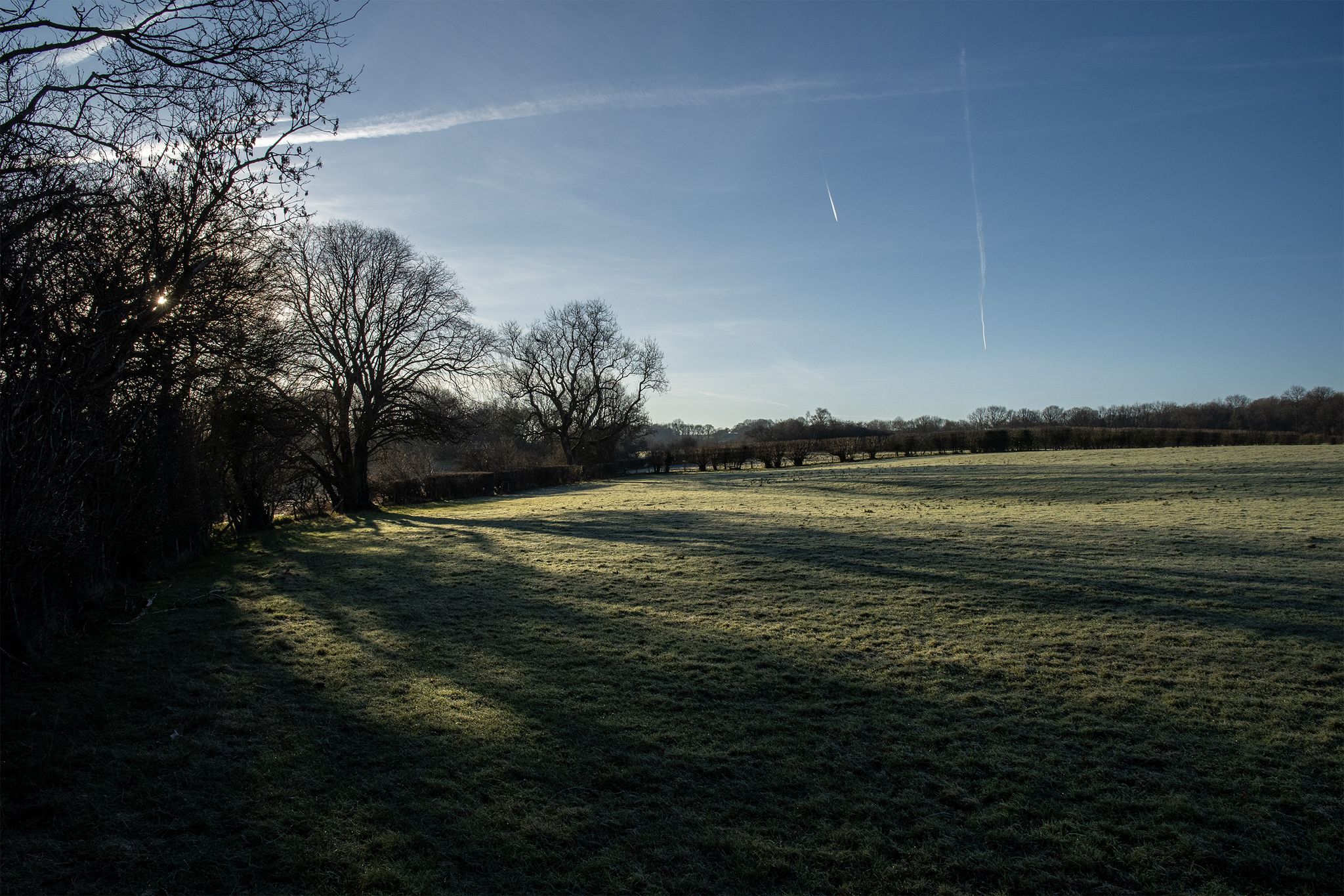 Long shadows