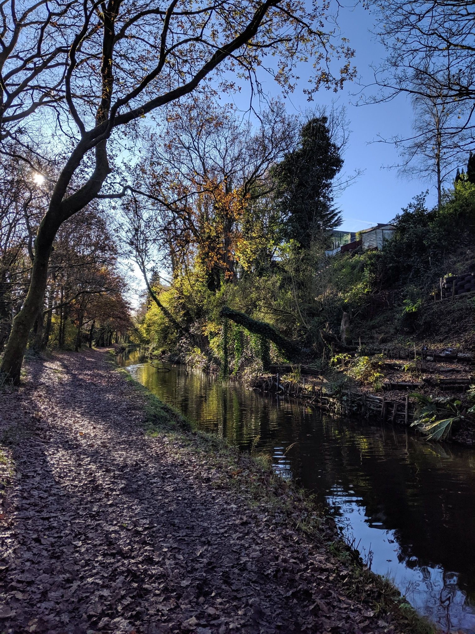 On the walking path