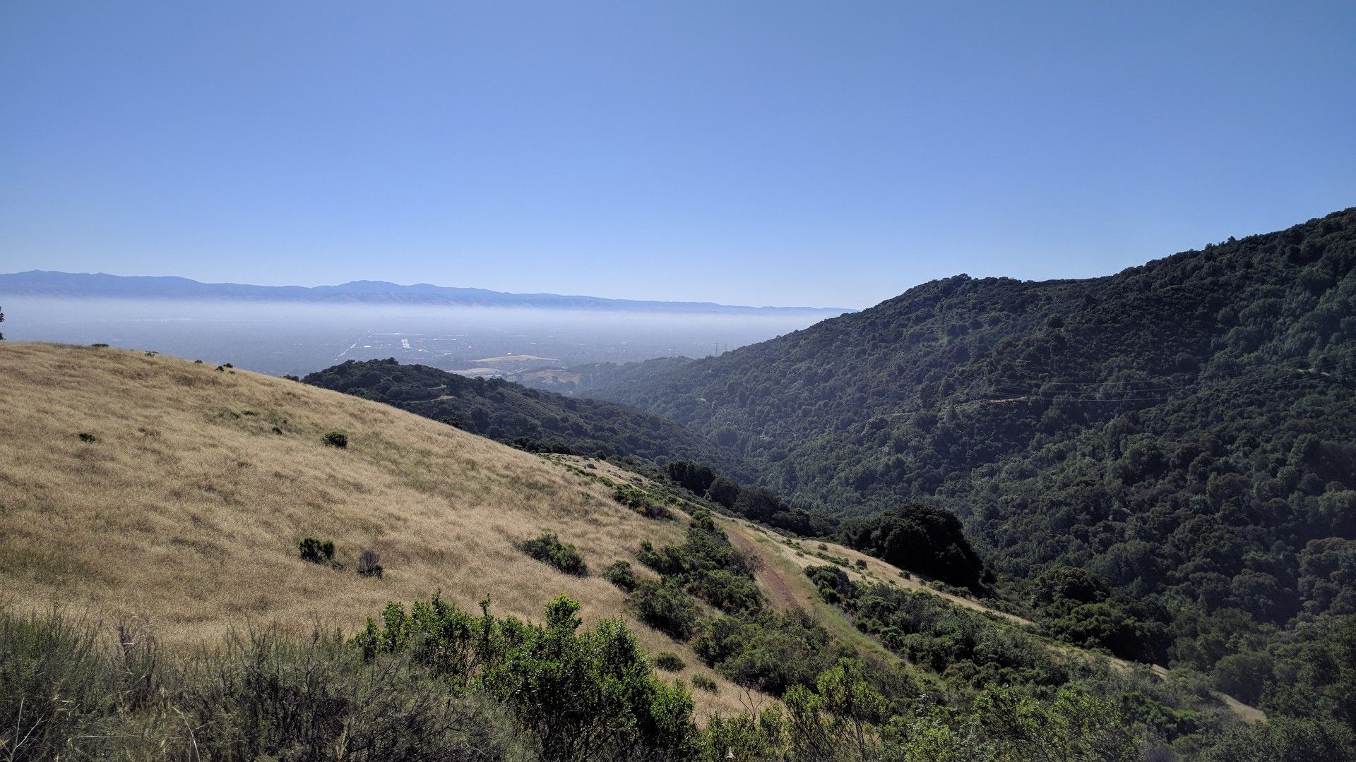 Sunny view of a valley with green and golden hills, distant hazy horizon. - View of the Bay Area loop from Rancho San Antonio County Park