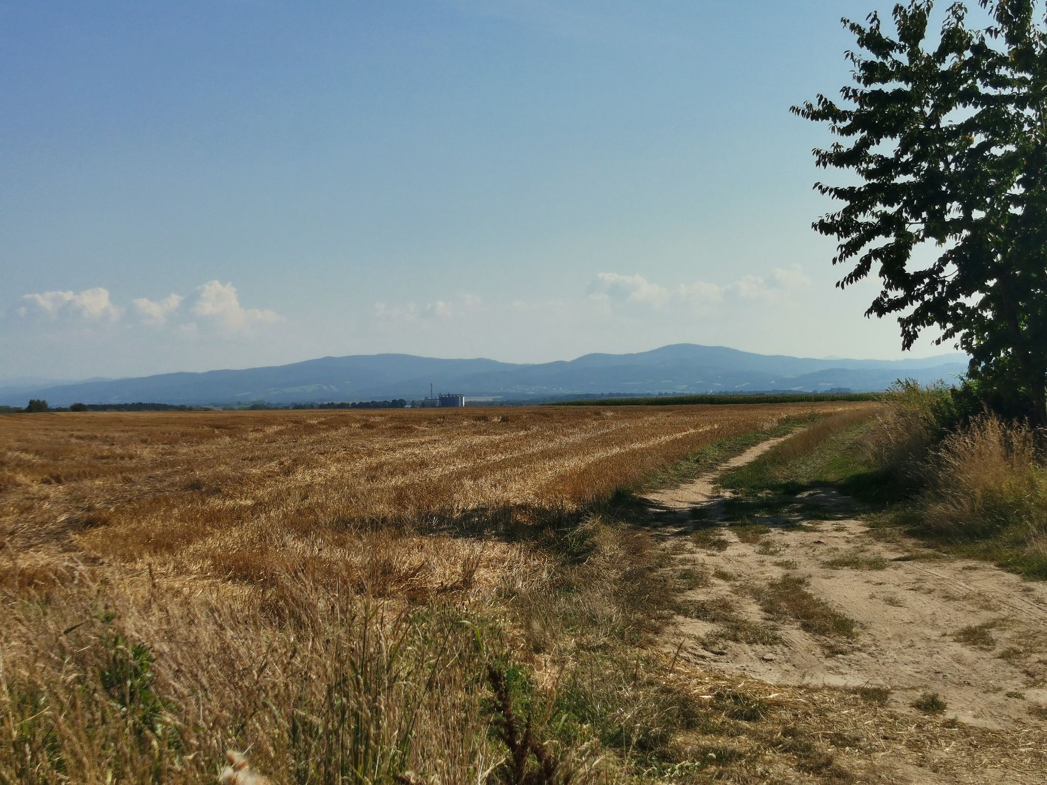 Widoczek na Góry Bardzkie