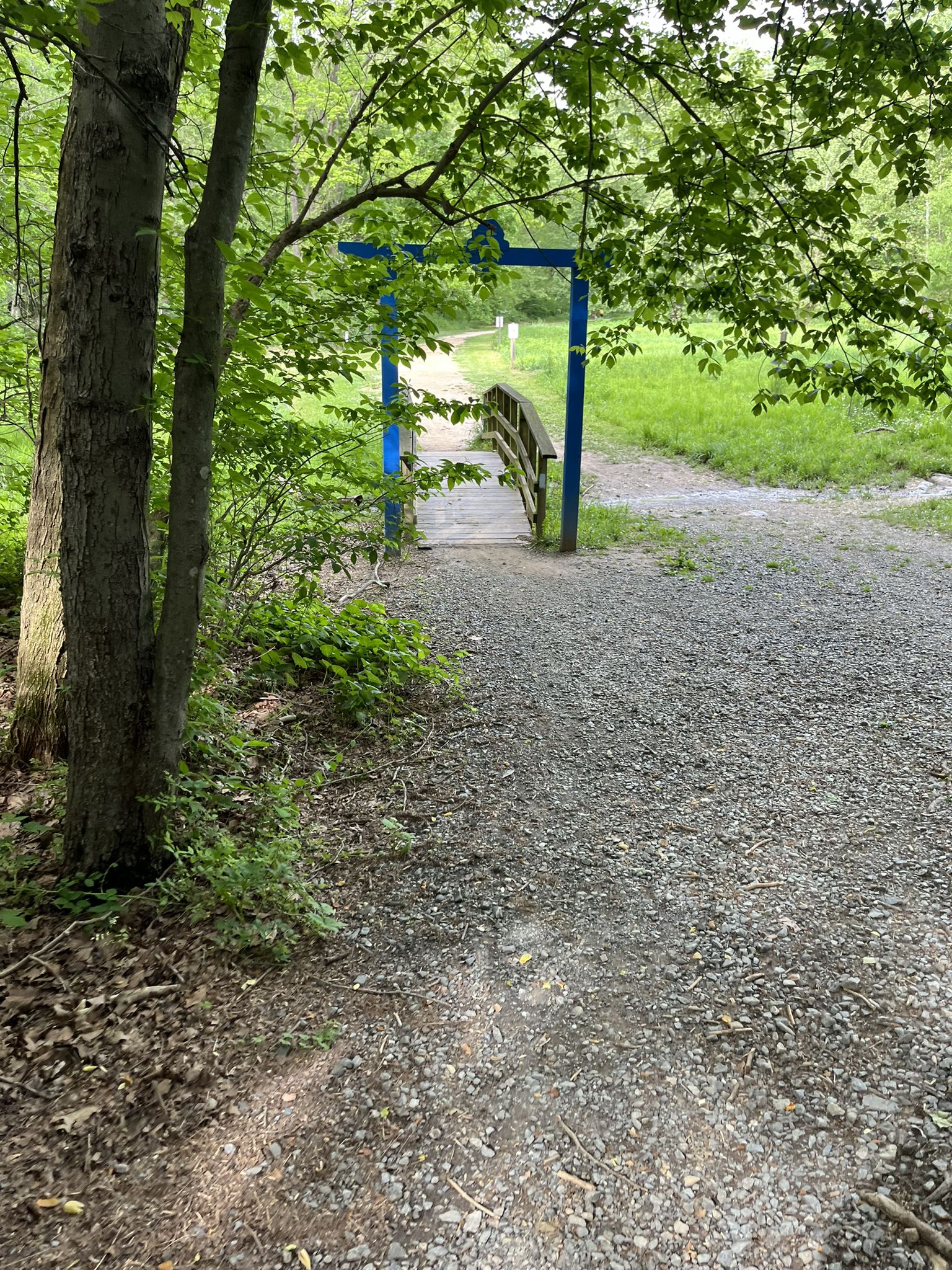 Gravel path leading to a bridge with a blue archway in a green forest. - Cabin John Regional Park – Locust Grove Nature Center loop from Westfield Montgomery Mall