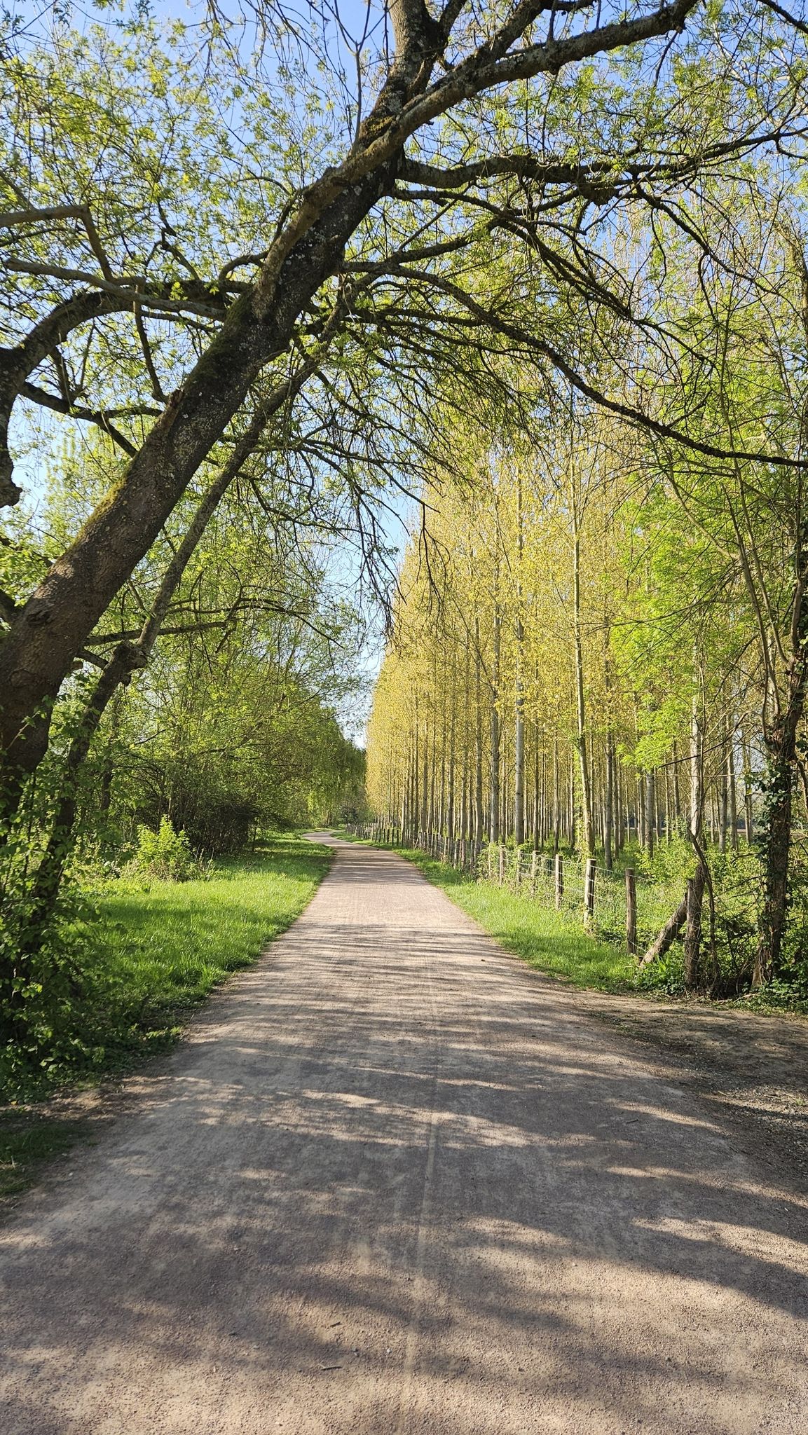Nouvelle portion du boulevard Nature