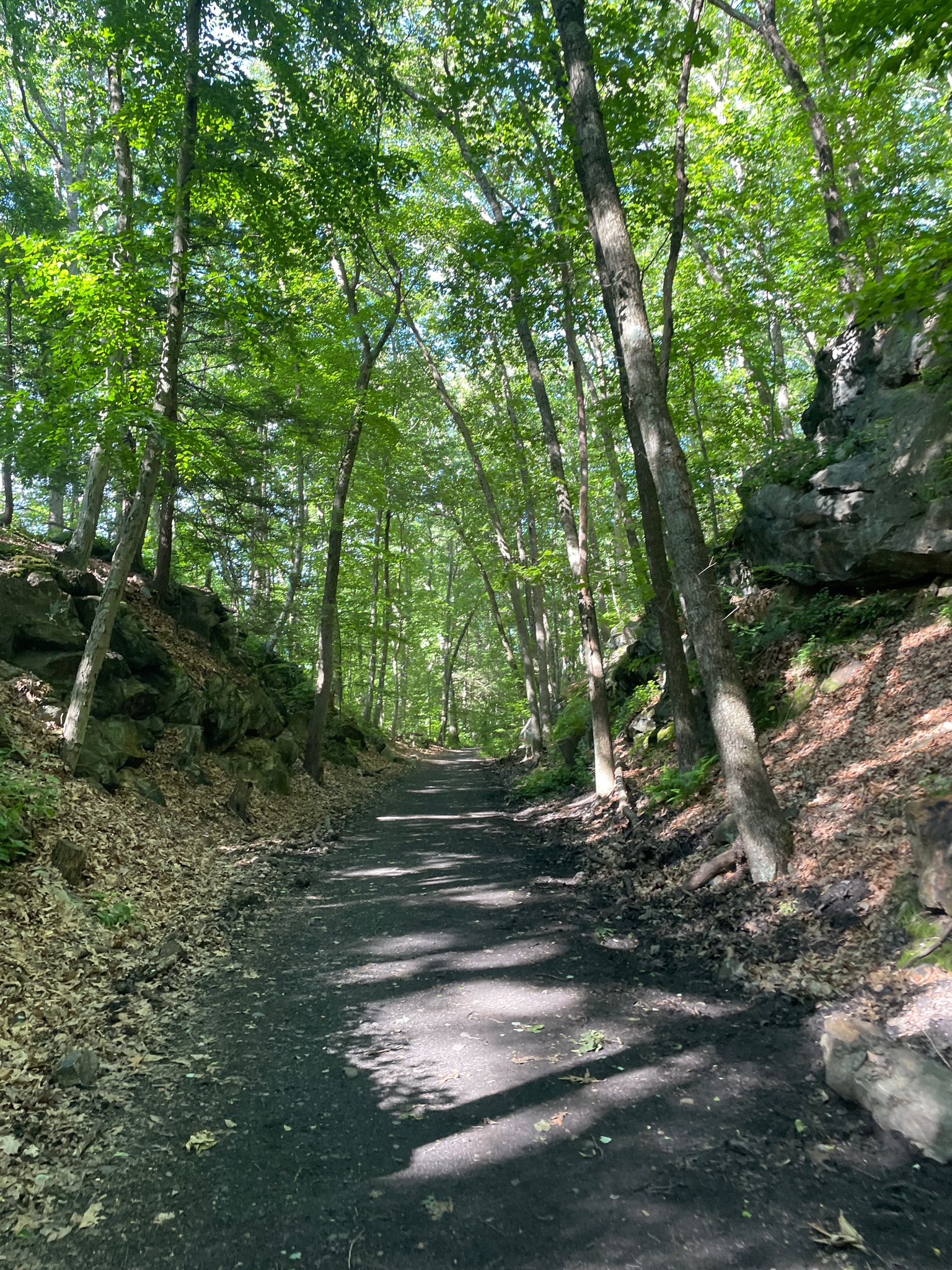 A shaded forest path between rocky embankments and tall green trees. - Whittemore Glen State Park – Hop Brook Lake loop from Seymour