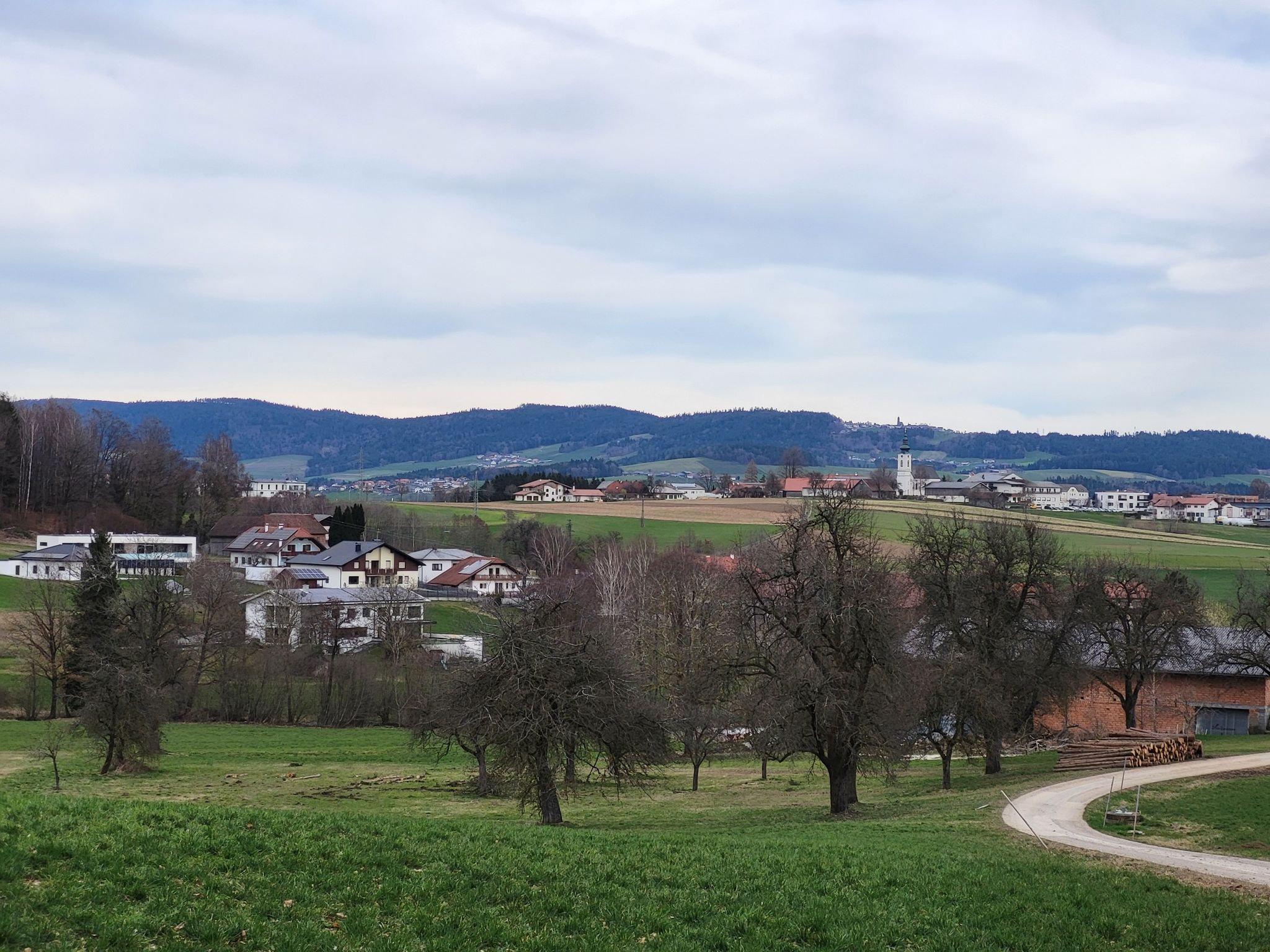 Blick auf St. Aegidi von der Kösslau