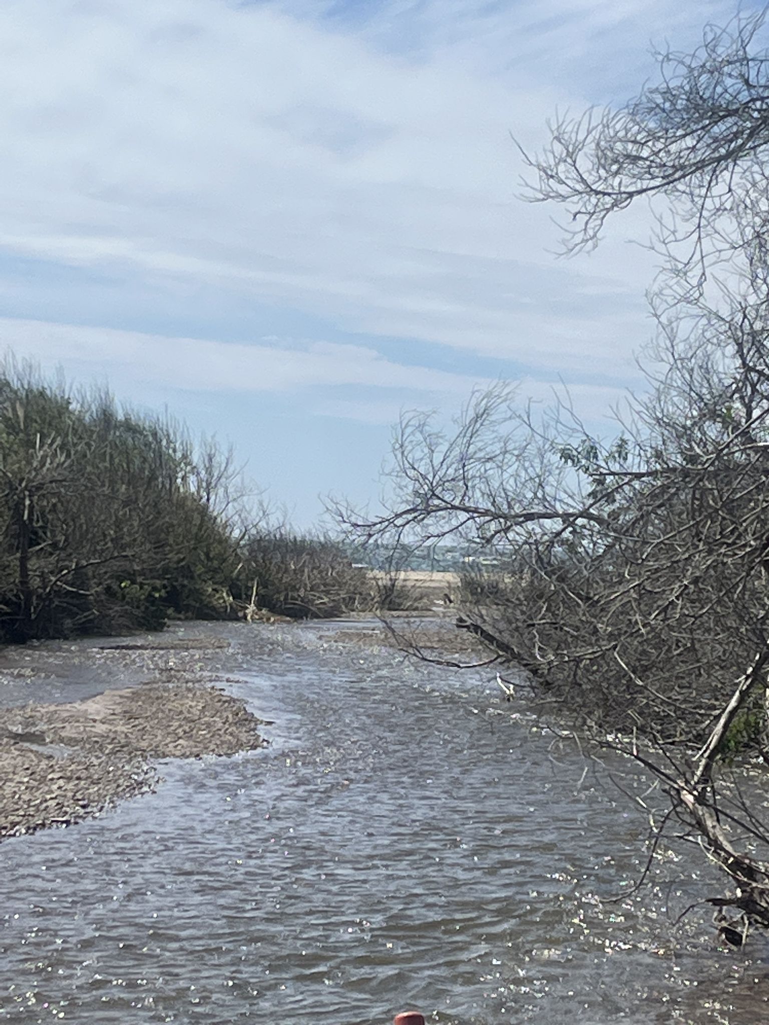 A winding stream flows between banks with bare trees under a bright sky. - Encinal Canyon Loop