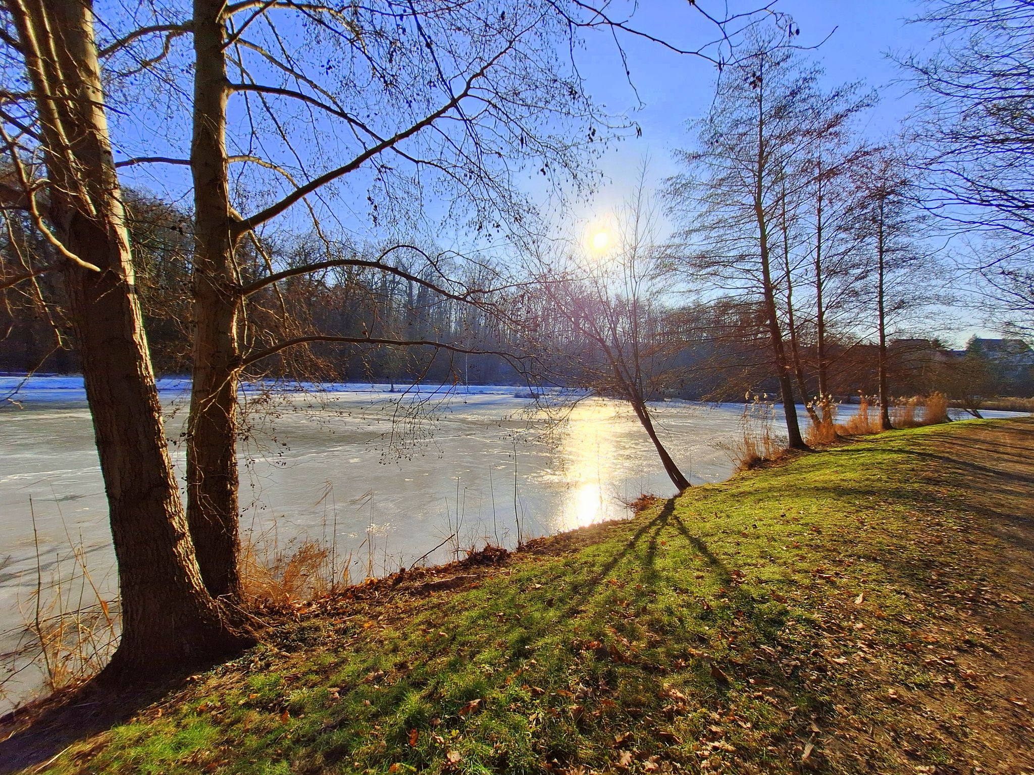 Rosensee