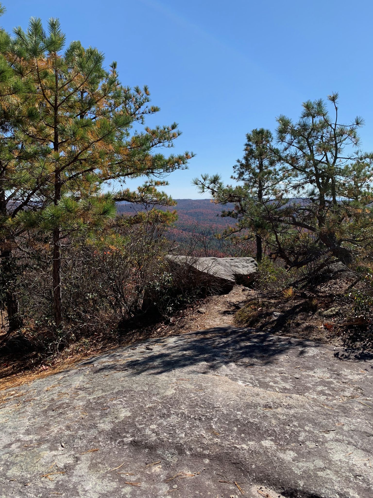 Rocky overlook with pine trees offers a sunny view of distant autumn forests. - Stone Mountain Trail