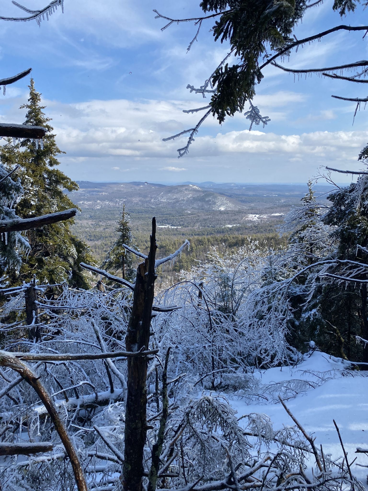 Icy trees and snowy ground with a distant mountain view under a cloudy sky. - Wapack Trail to North Pack Monadnock