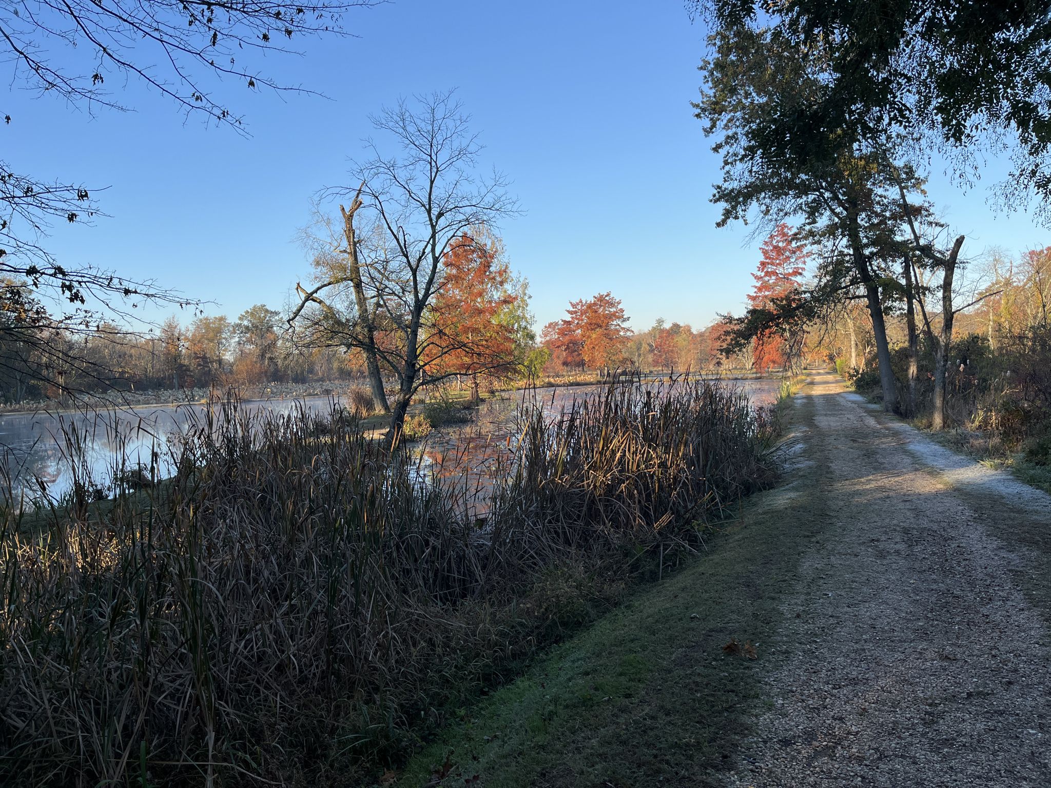 Sunny path beside a lake with bare and colorful trees. - Anacostia Riverwalk Trail