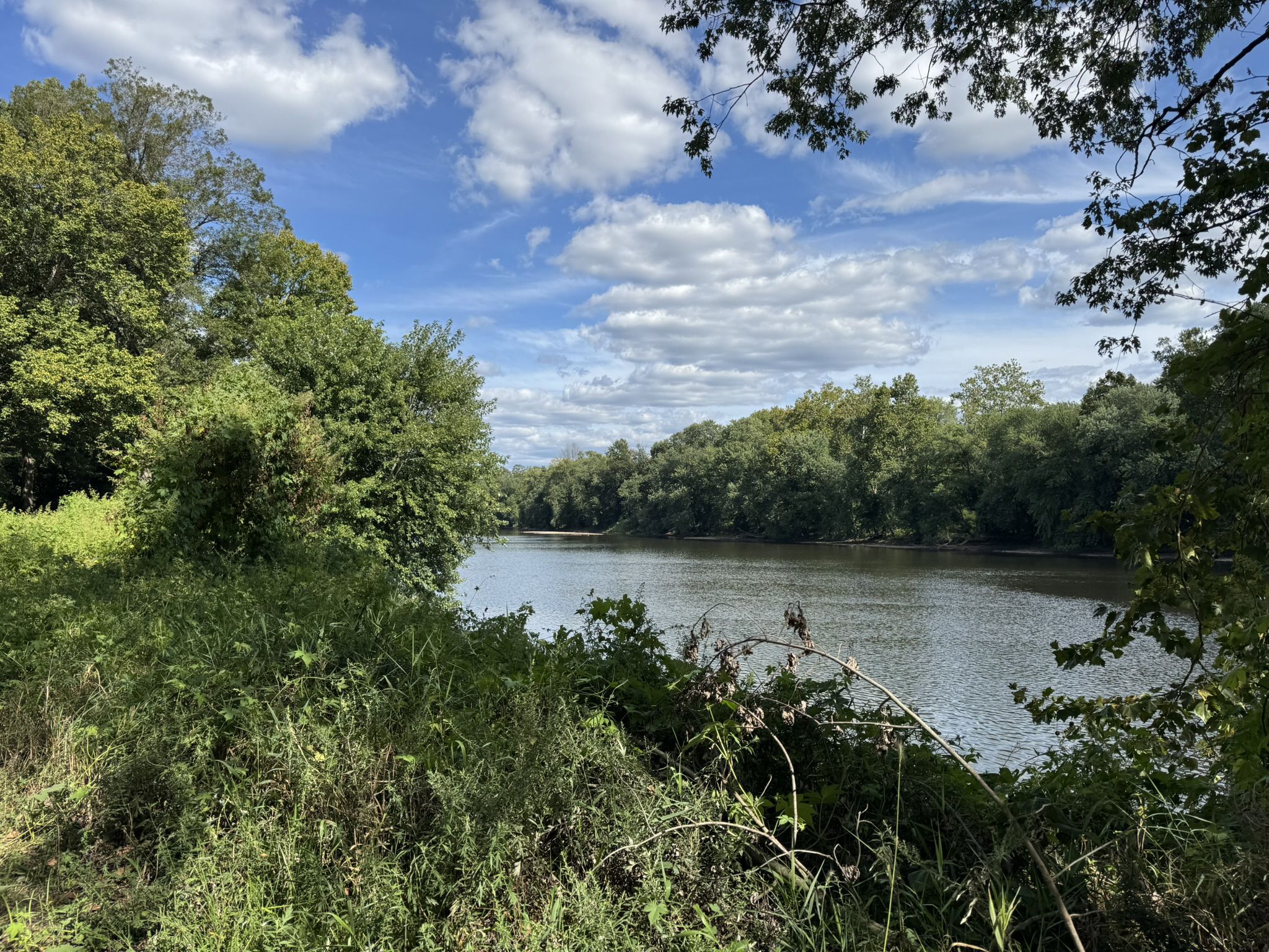 A wide river flows between lush green trees under a bright, cloudy sky. - Commissary and Fatlands Trail Loop