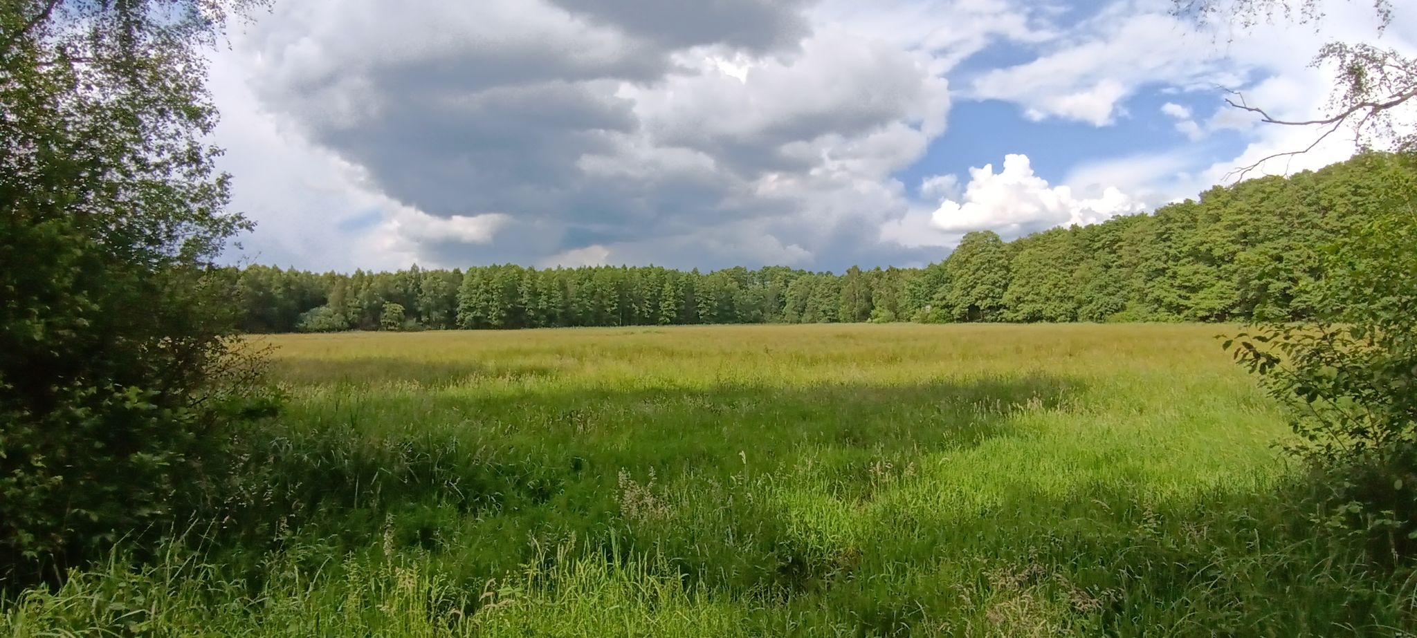 In`n hogen Holln