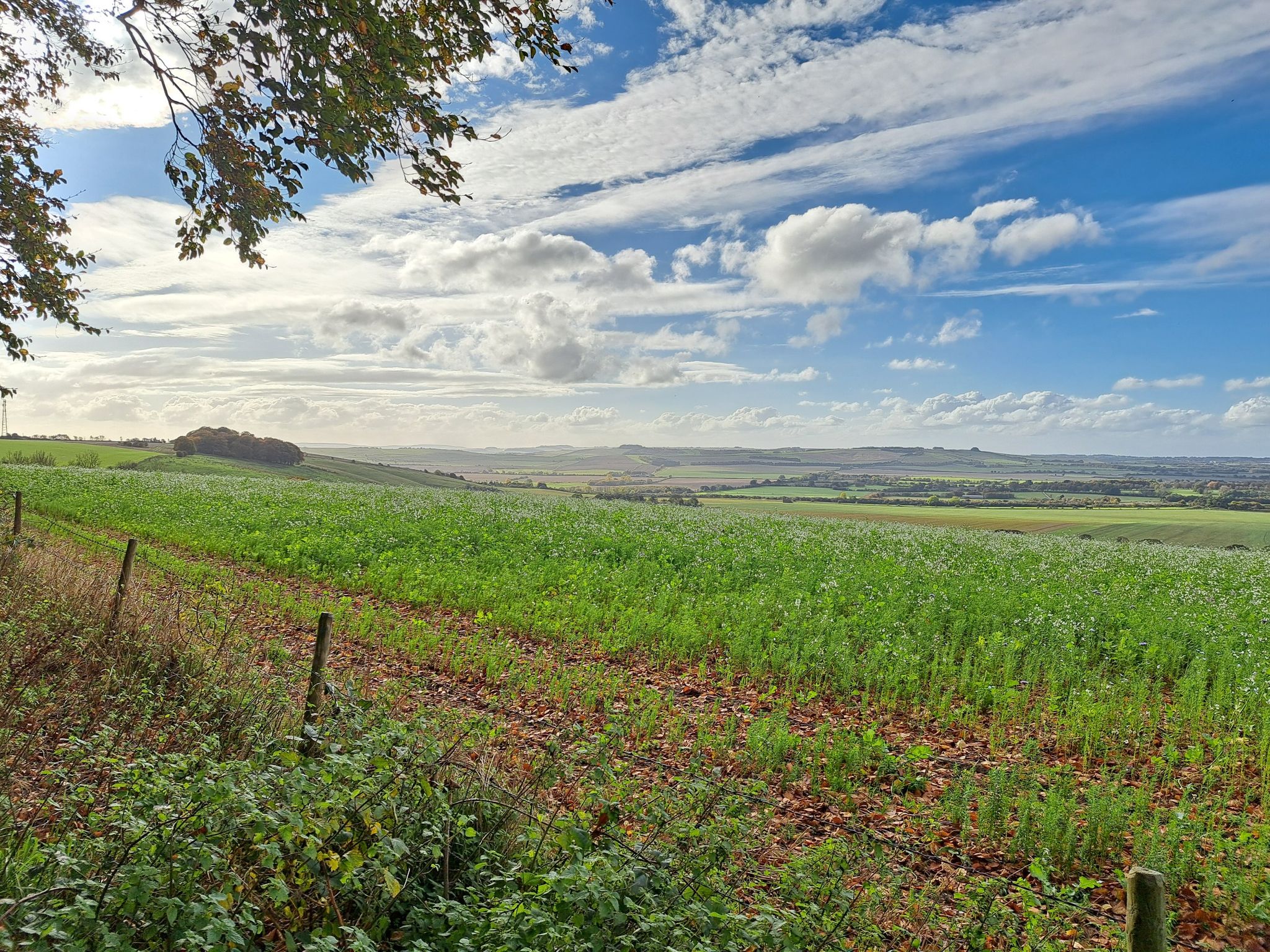 an autumn view from the ridgeway