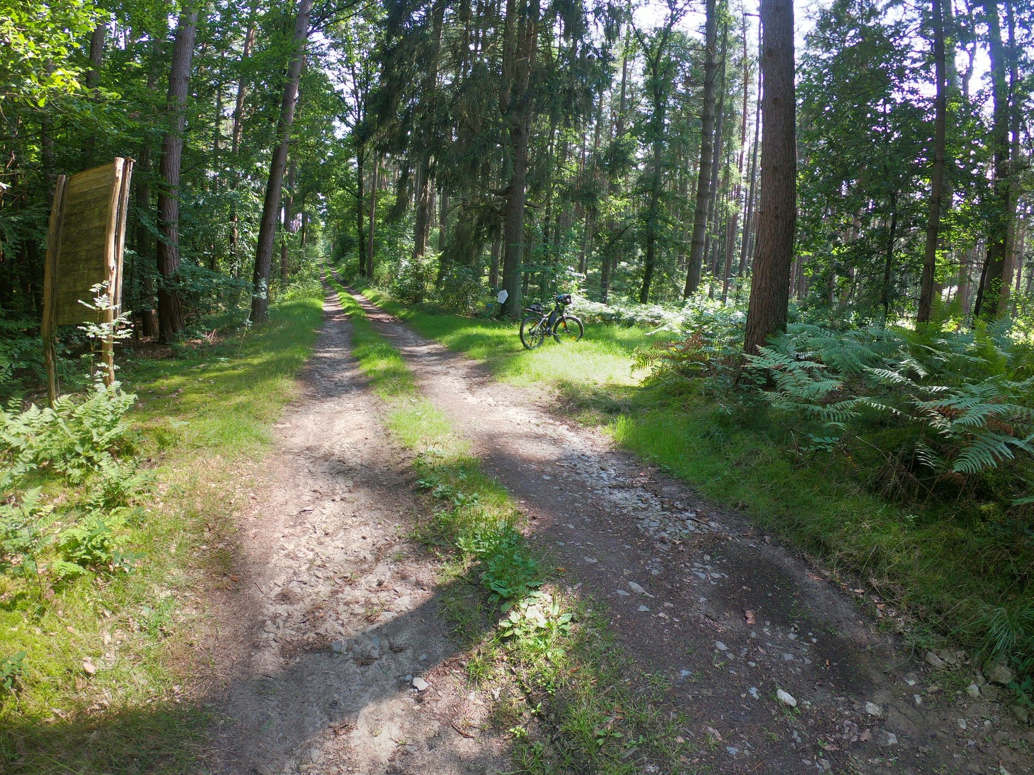 weiter zum Königsgrab