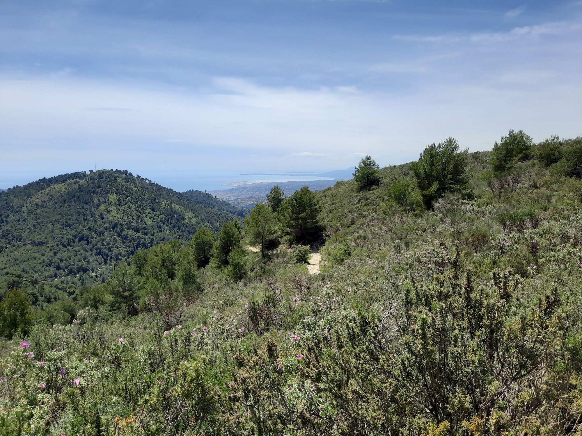 Bai des Aignes